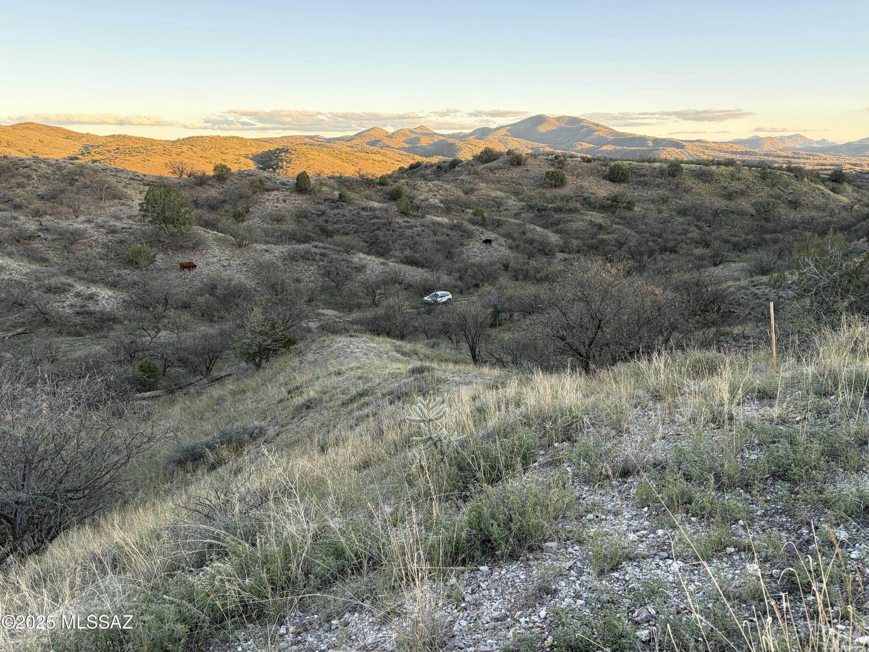 Crown C Ranch - Land