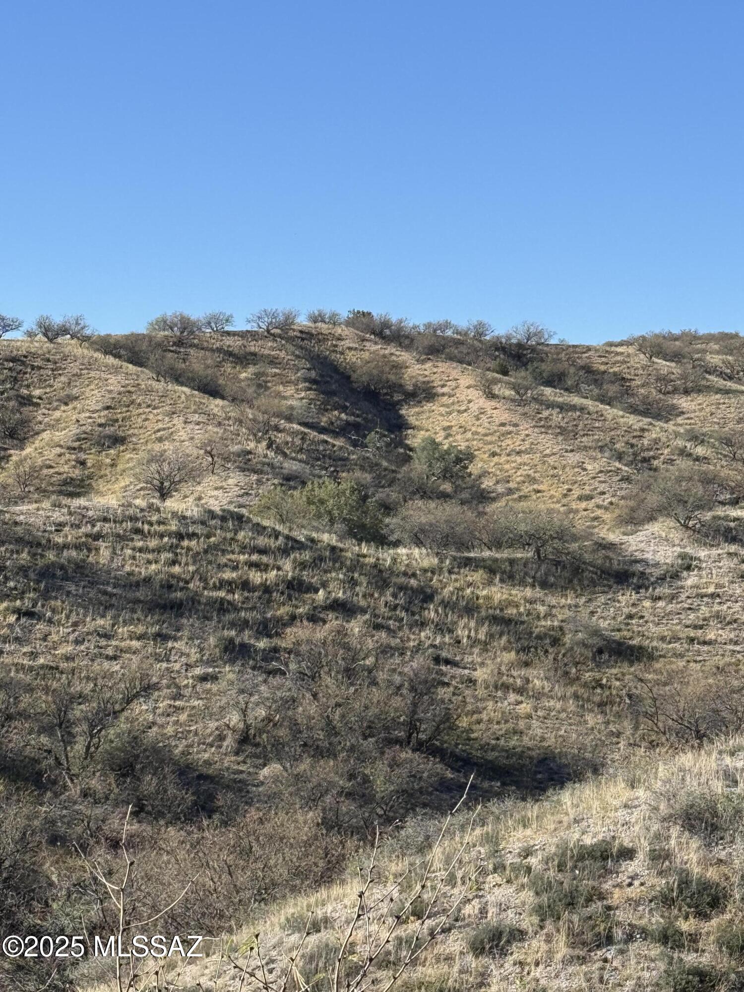 Crown C Ranch - Land
