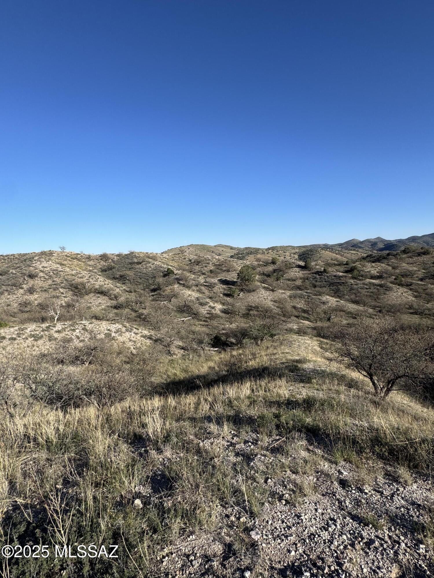 Crown C Ranch - Land