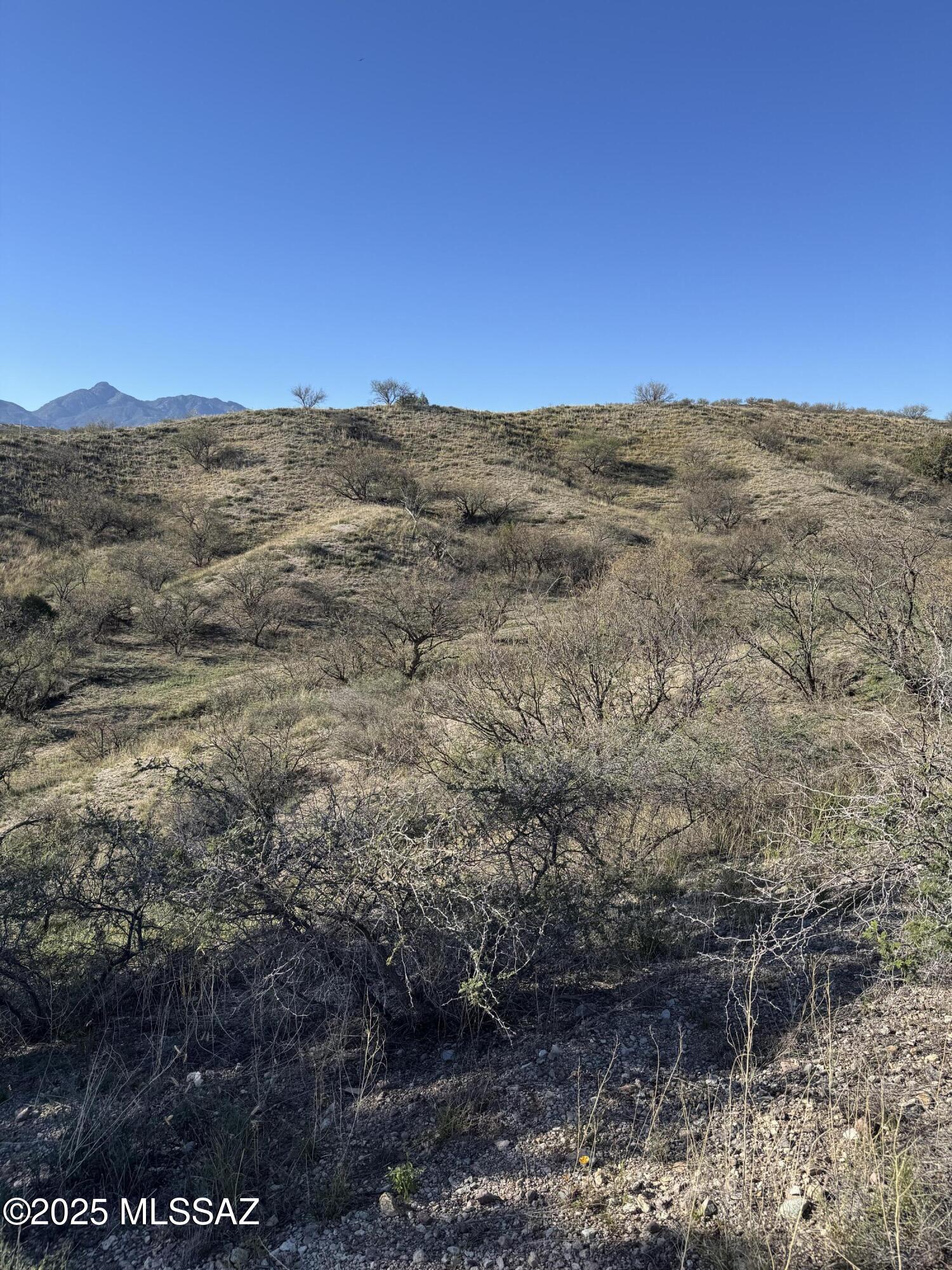 Crown C Ranch - Land