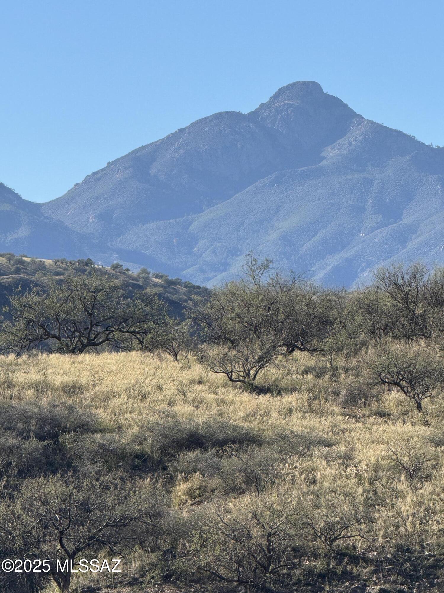 Crown C Ranch - Land