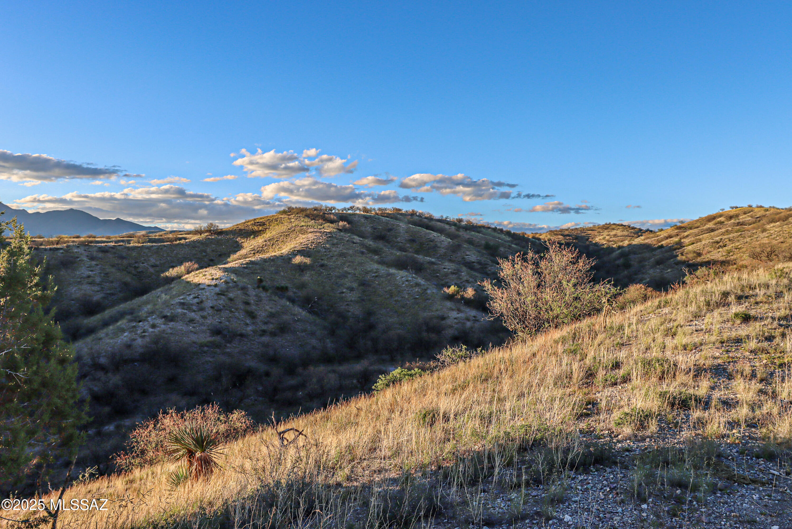 Crown C Ranch - Land