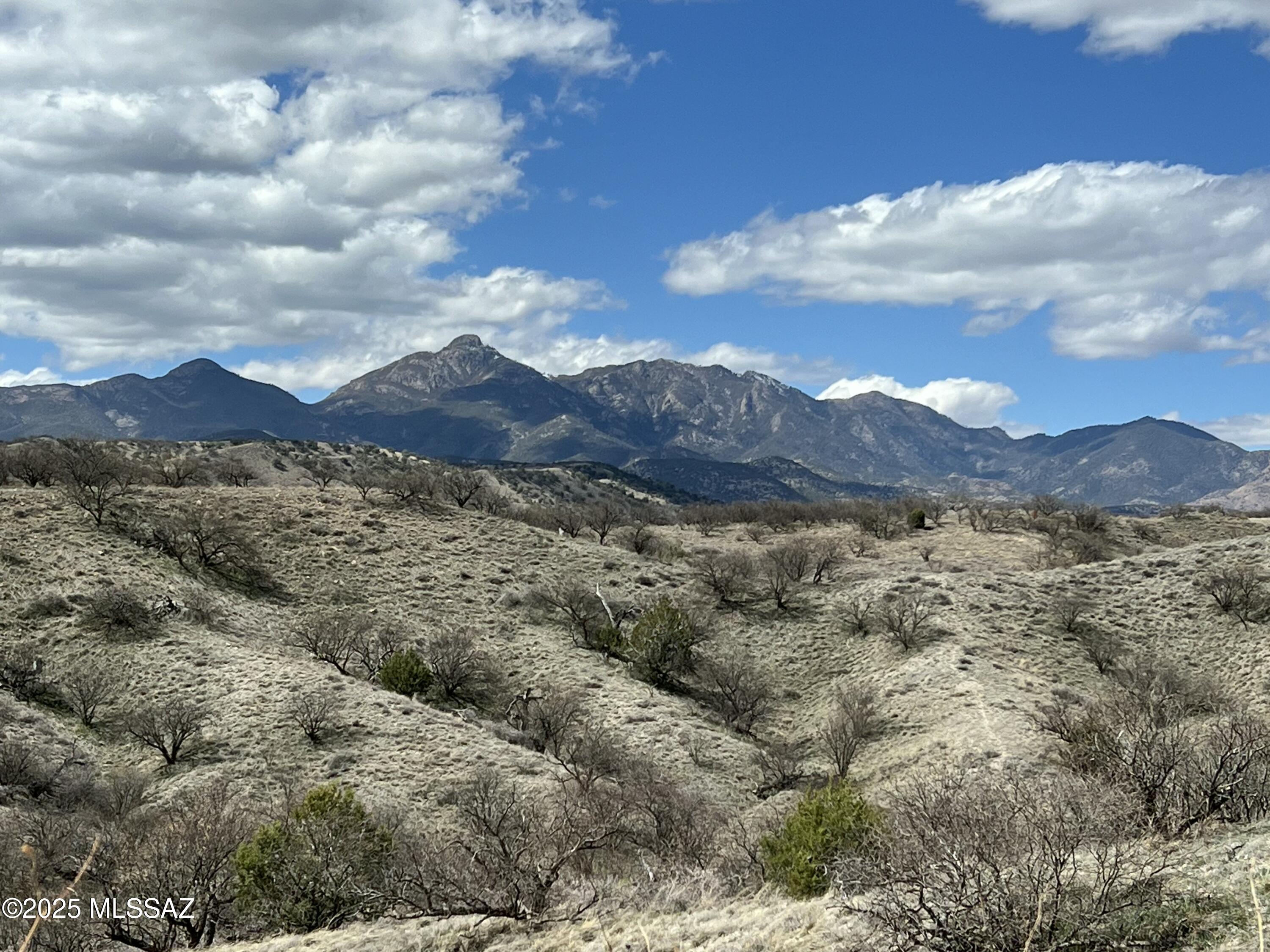 Crown C Ranch - Land