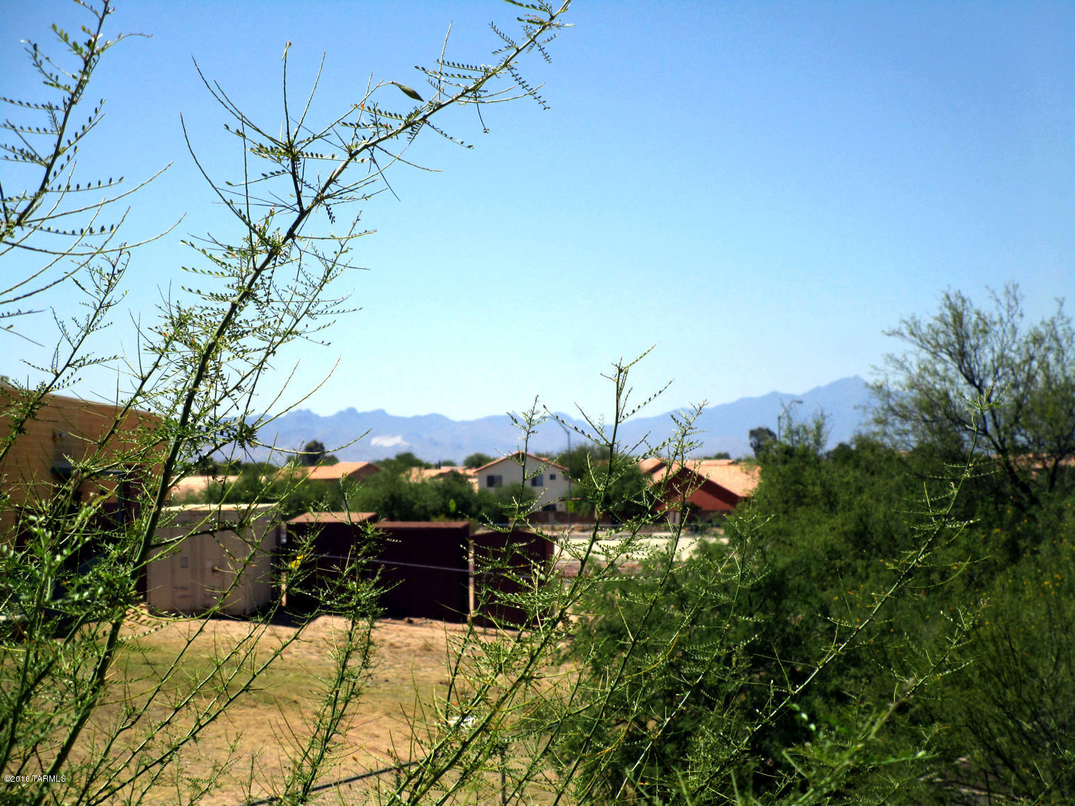 Terricina At Rita Ranch (1-60) - Residential