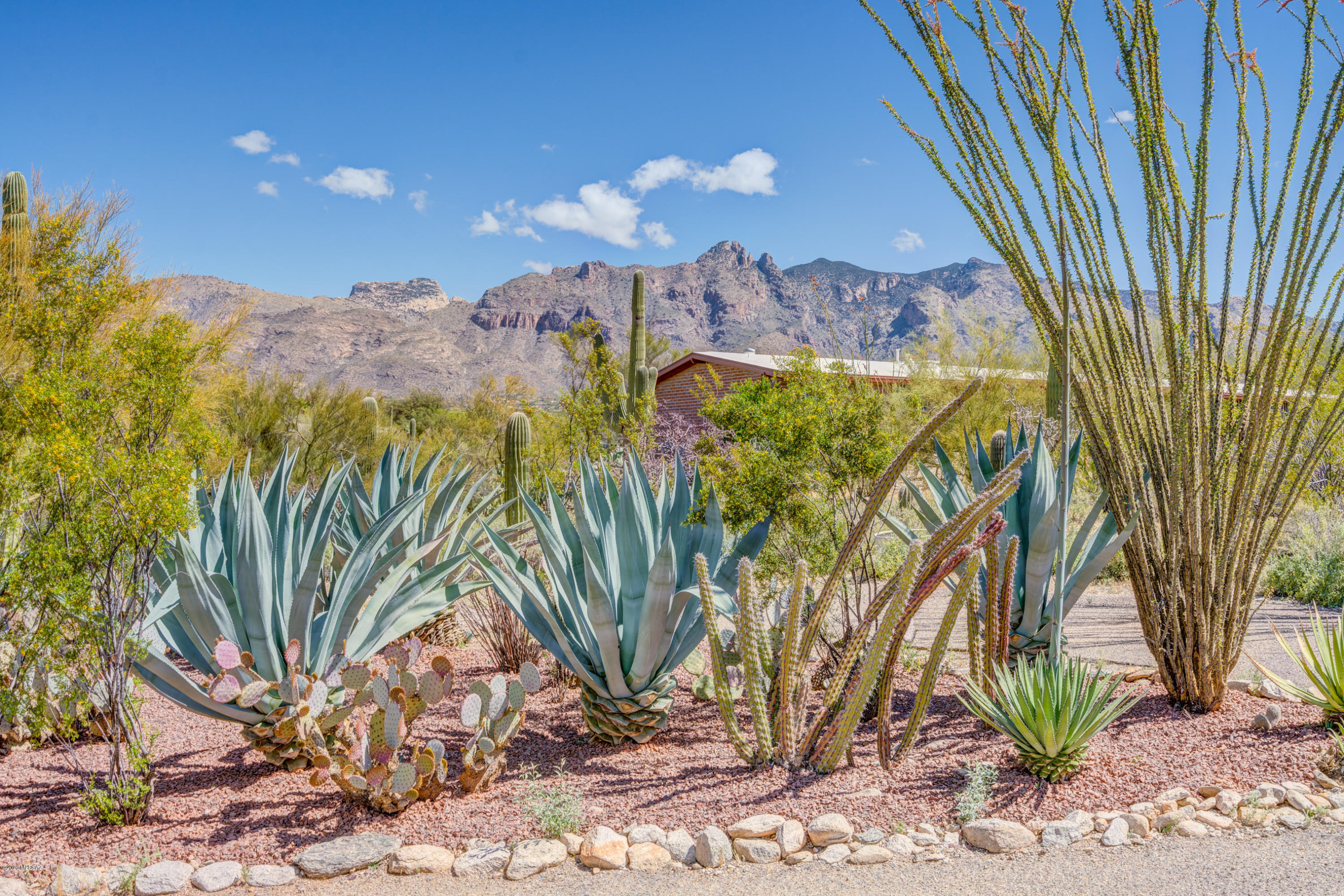 Catalina Foothills Estates NO. 5 - Residential