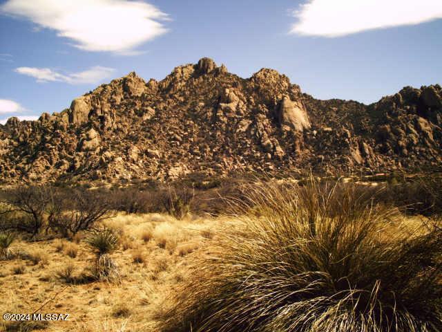 Dragoon Mountain Ranch - Land