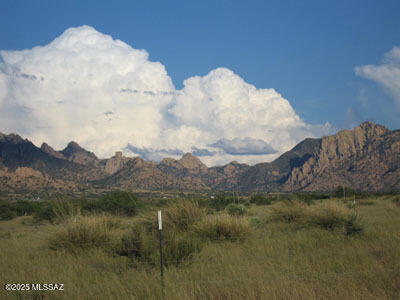 Dragoon Mountain Ranch - Land