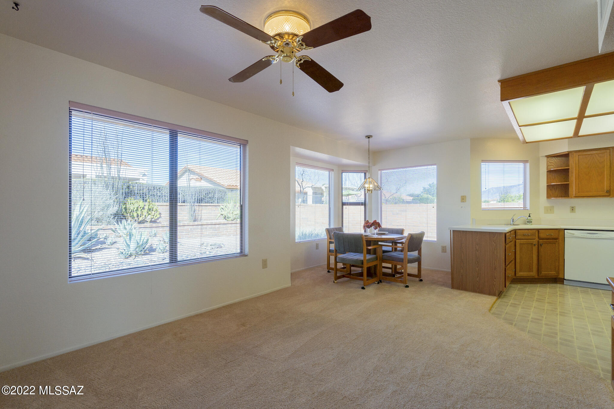 Sun City Vistoso Unit 5(1-288) - Residential