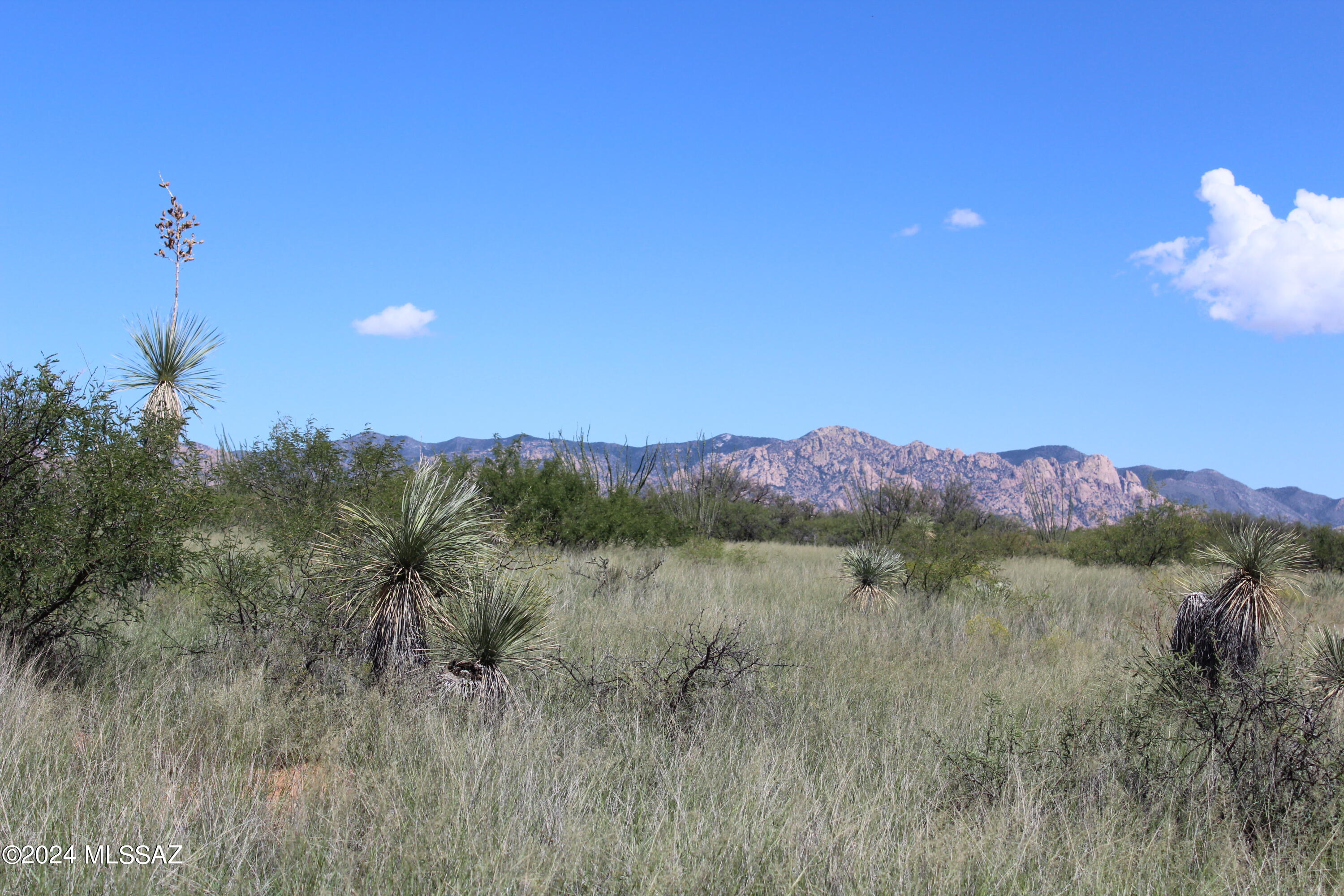 Dragoon Mountain Ranch - Land