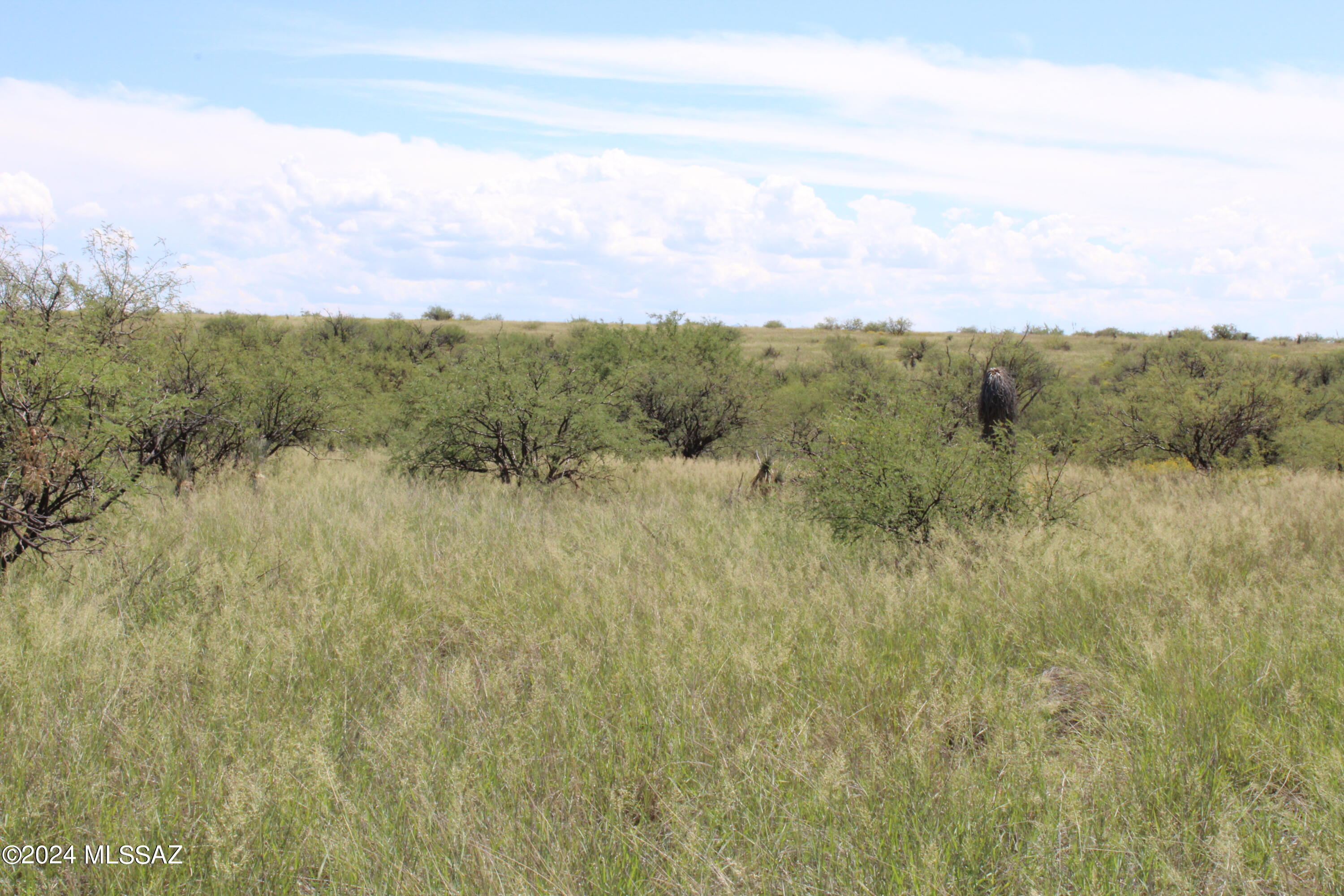 Dragoon Mountain Ranch - Land