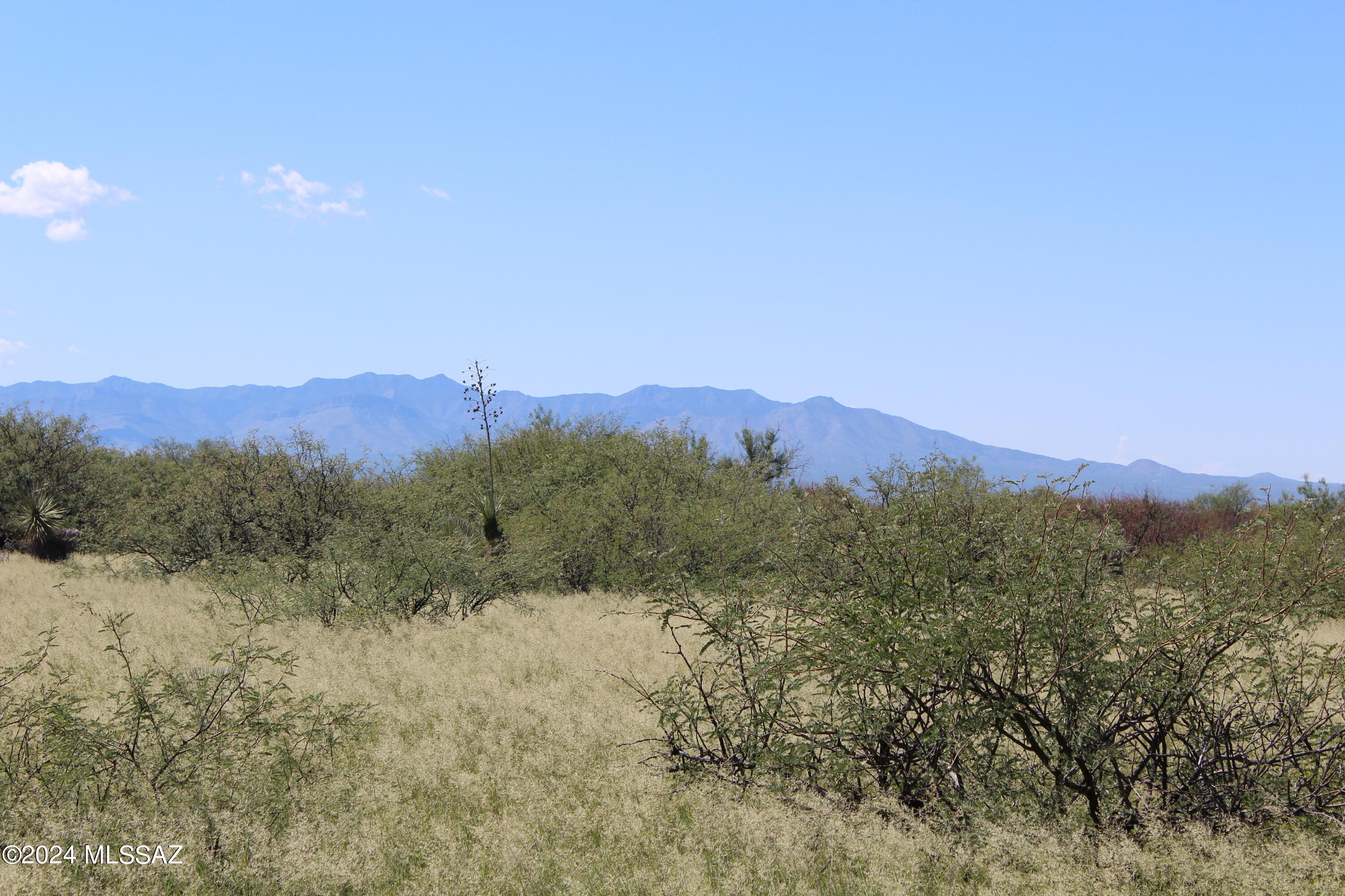 Dragoon Mountain Ranch - Land