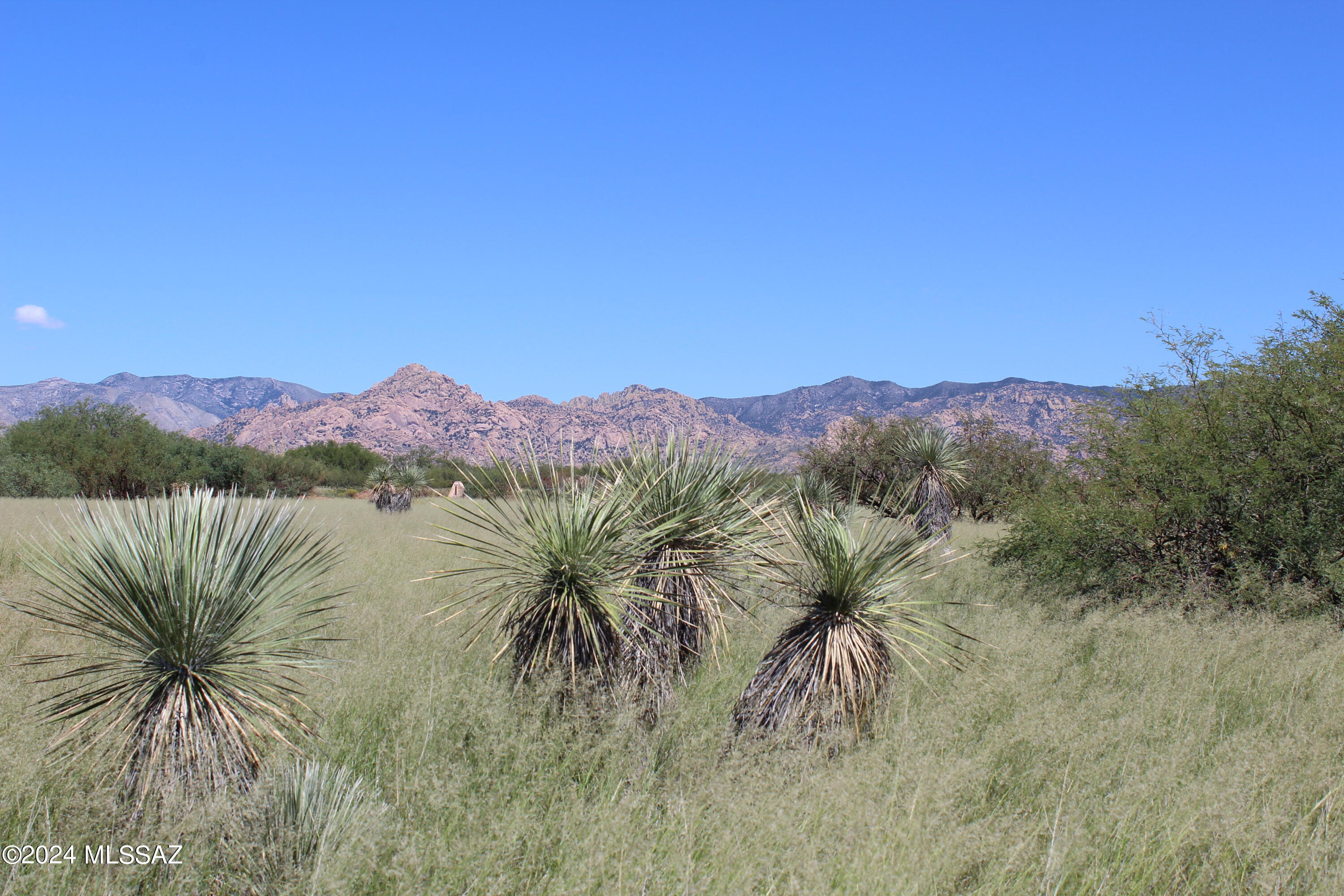 Dragoon Mountain Ranch - Land