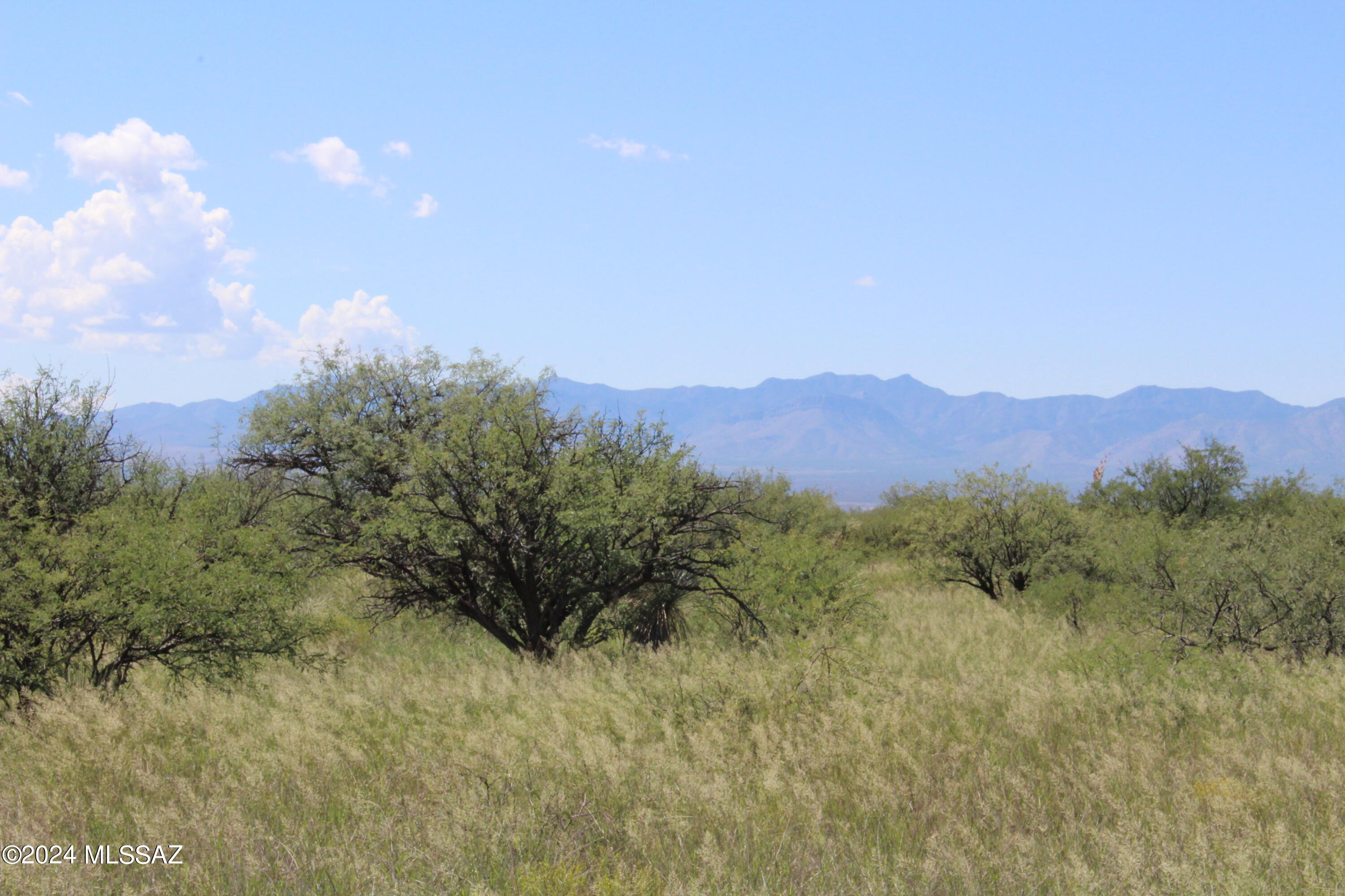 Dragoon Mountain Ranch - Land