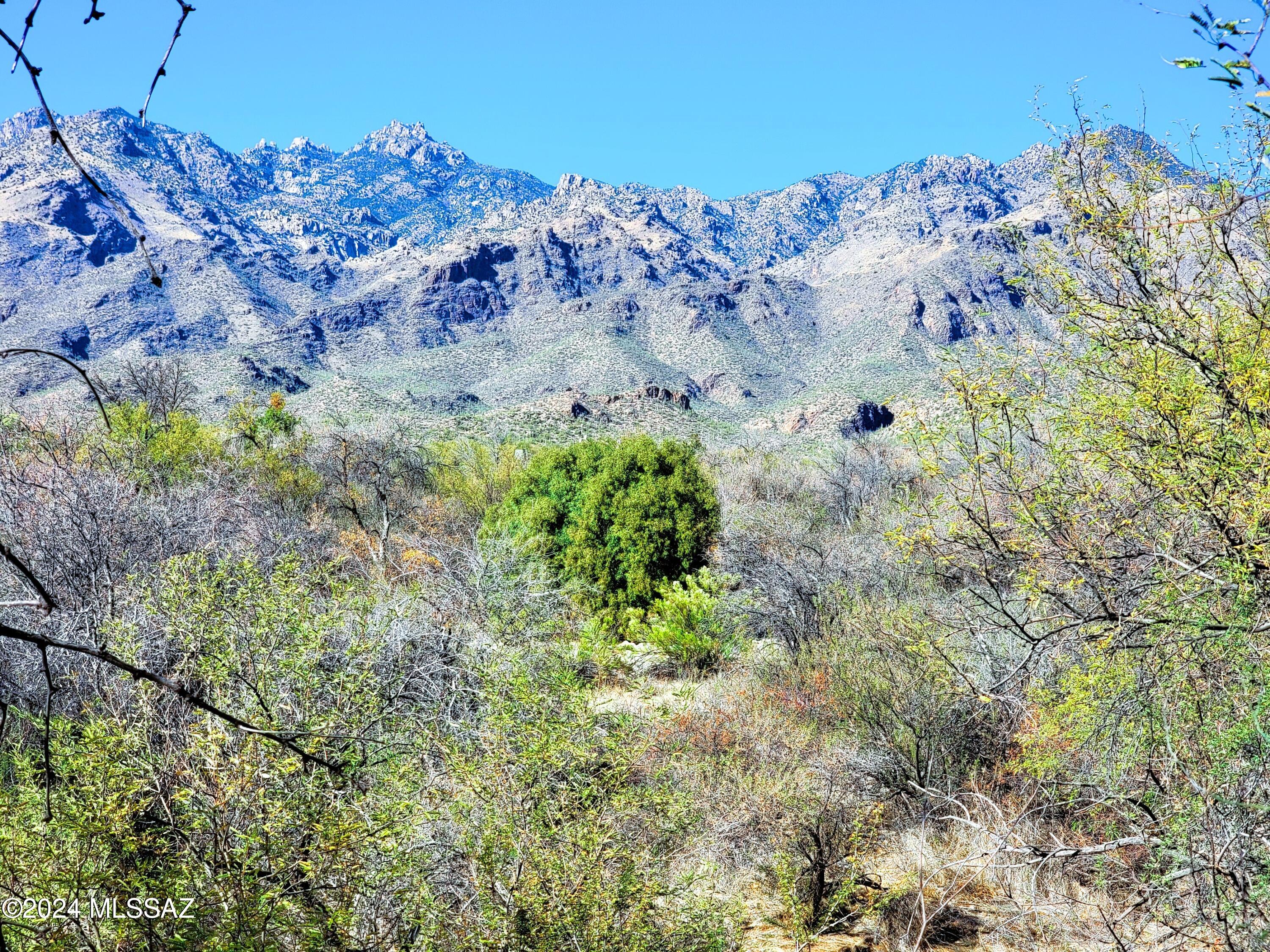 Bear Creek Ranch (1-102) - Residential