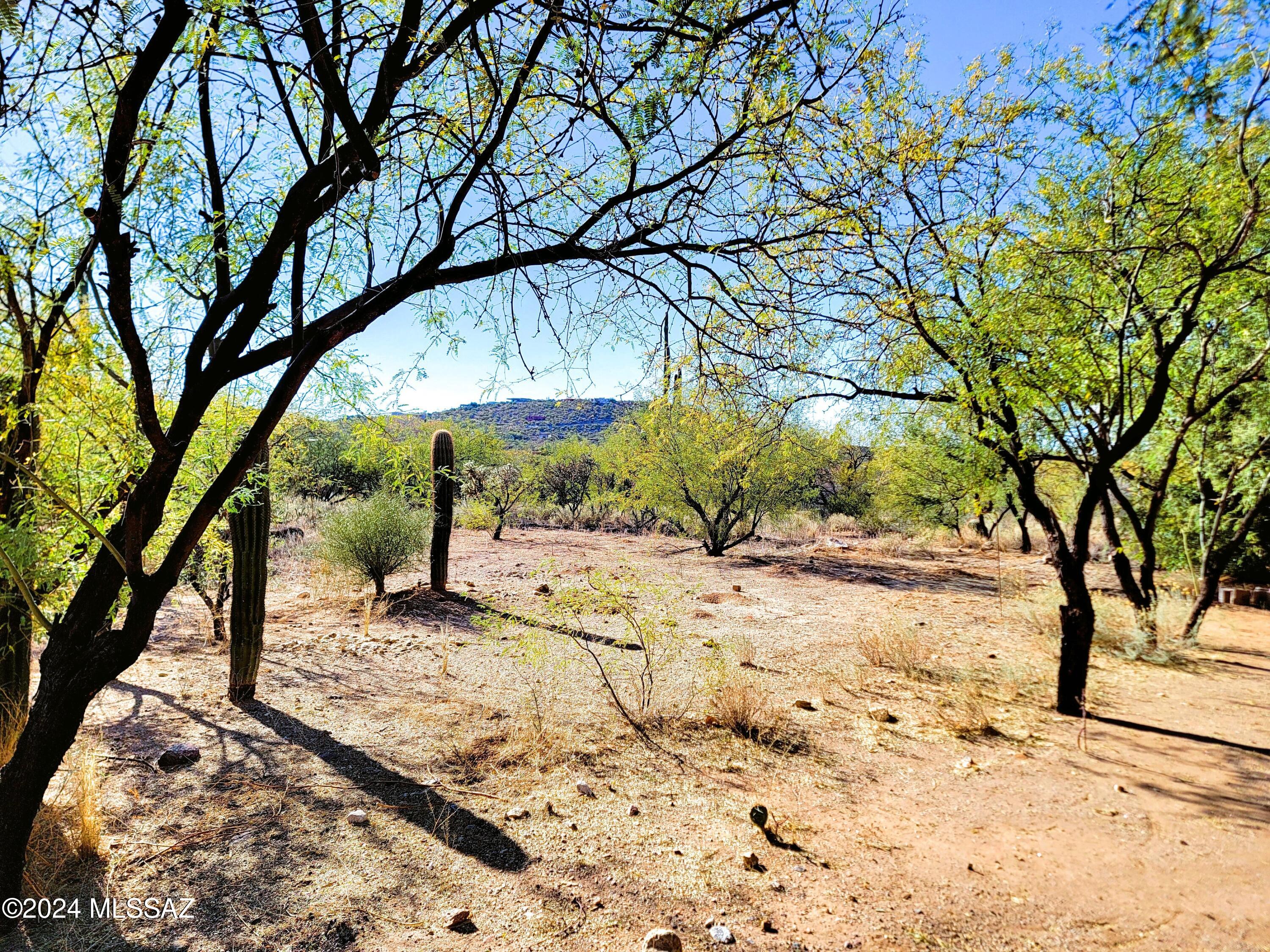 Bear Creek Ranch (1-102) - Residential