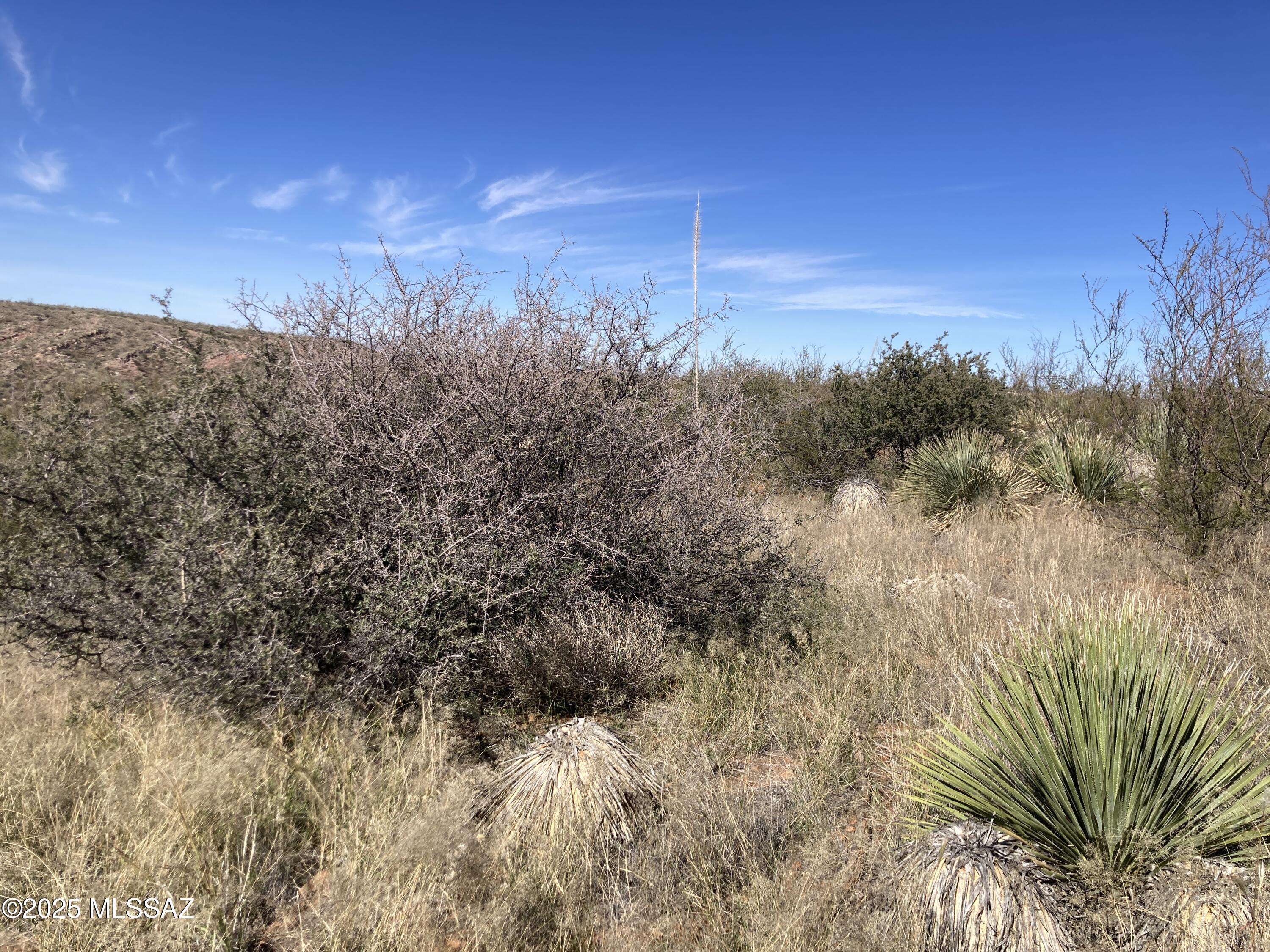 27809 S Wagon Rim Road