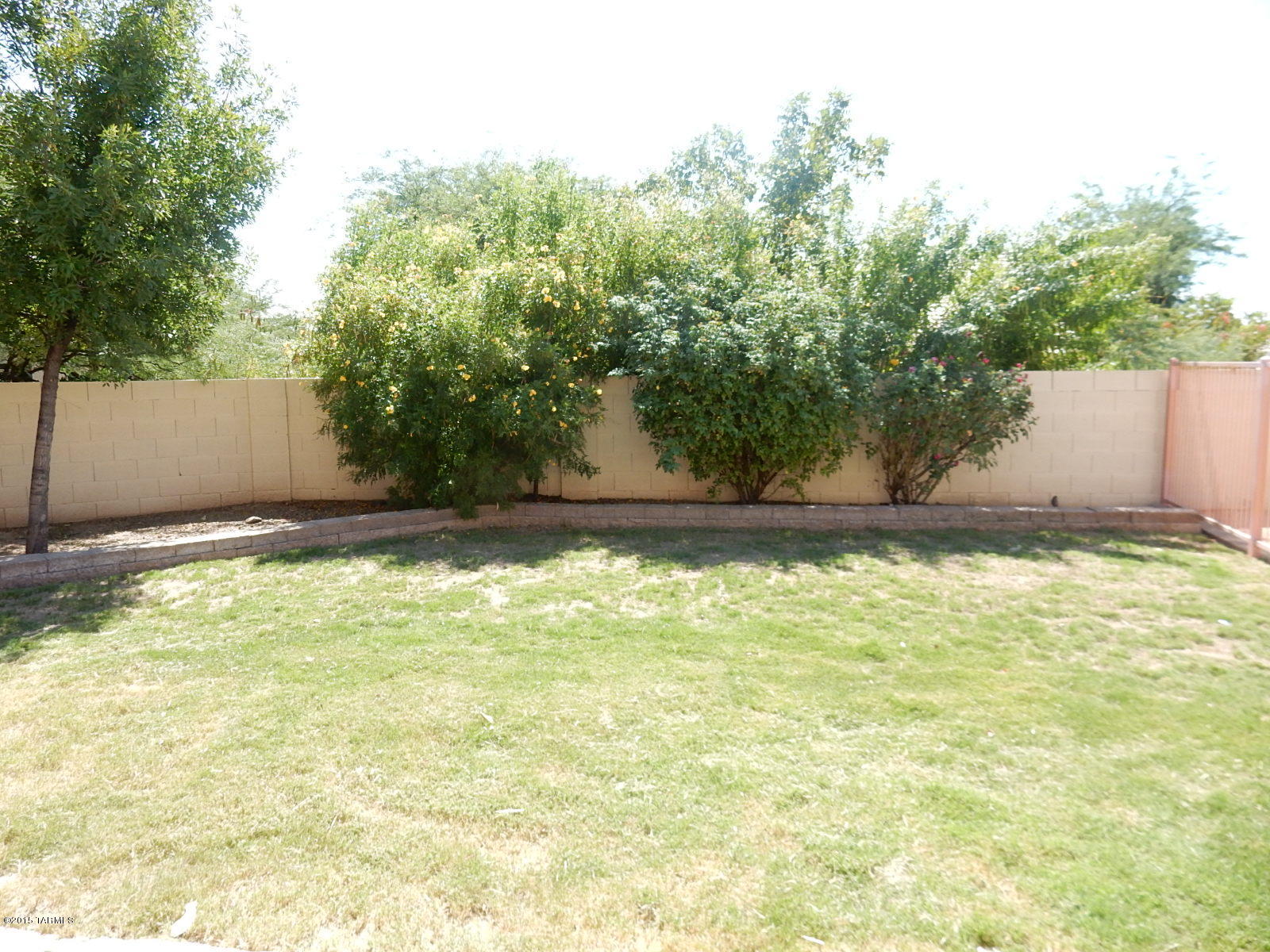 Terricina At Rita Ranch (1-60) - Residential
