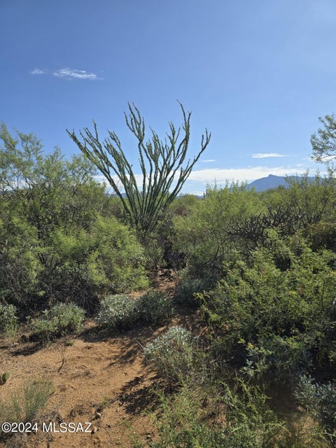 Featured picture for the property 22420524