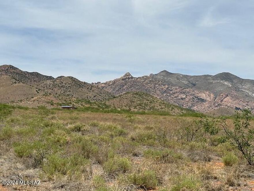 2 larger lots in Pearce totaling 3.48A Zones SR-43 Frame built homes. Great Mountain Views. Short distance Off Desert Rd which is County Maintained. Good vegetation with Lots of Love Grass and Trees.