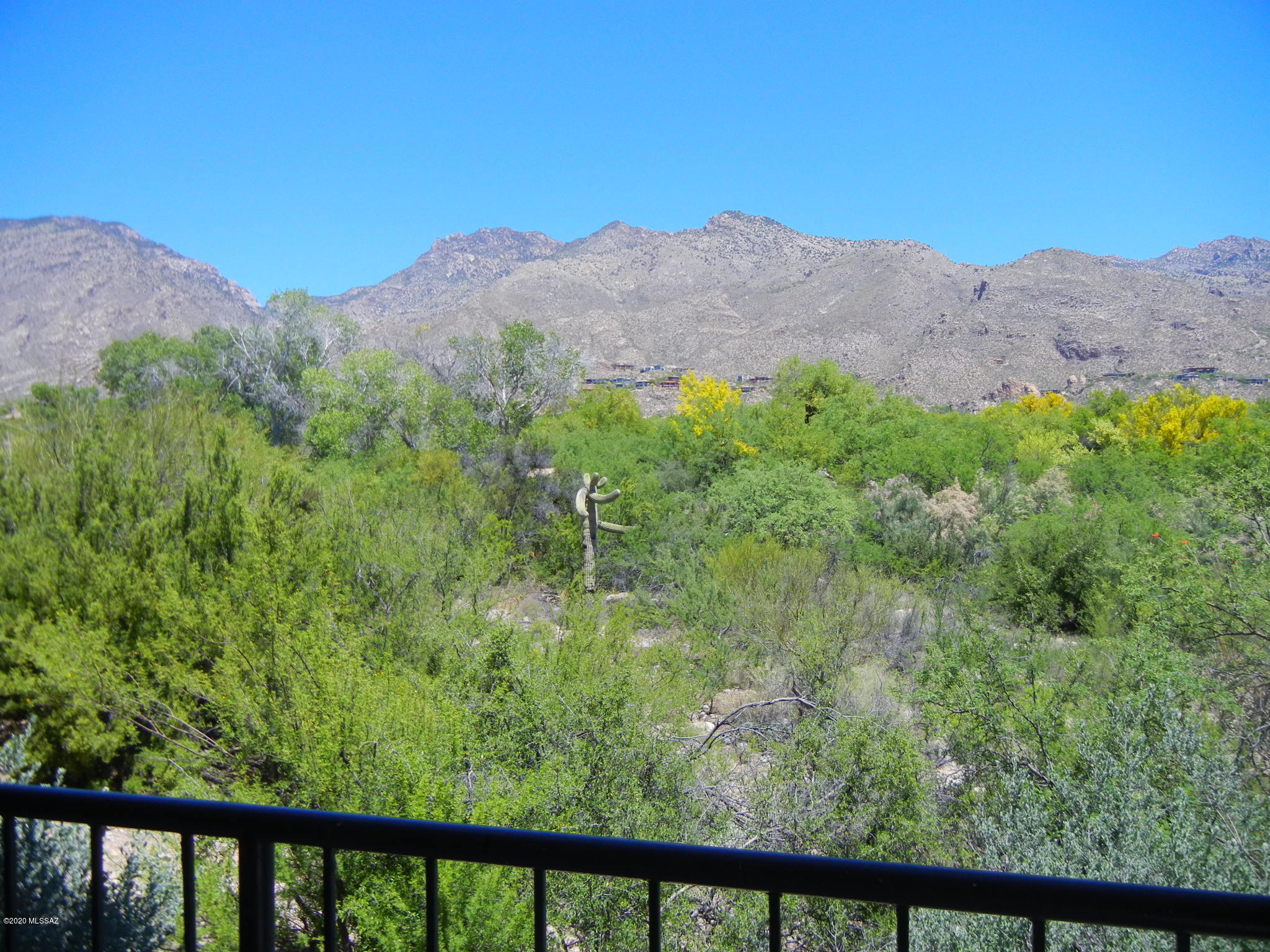 Greens at Ventana Canyon - Residential