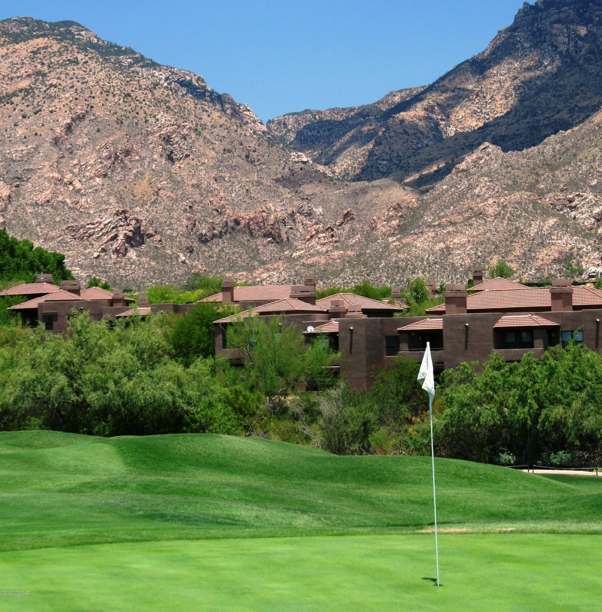 Greens at Ventana Canyon - Residential