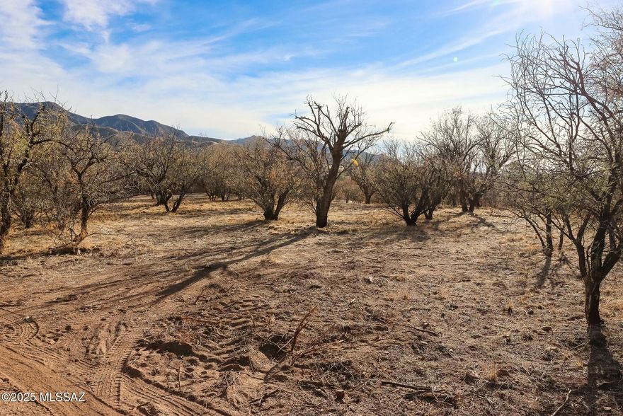 This spacious, dividable lot in Patagonia offers the perfect balance of privacy and convenience. With mature mesquites dotting the landscape and stunning views all around, you'll have a peaceful retreat just minutes from the heart of town. Plus, being out of the floodplain gives added peace of mind. The property comes with the modern amenities of underground electricity and city water, making it ideal for building your dream home. Don't miss the opportunity to enjoy a secluded setting with the charm of small-town living, all within walking distance of local shops and restaurants.