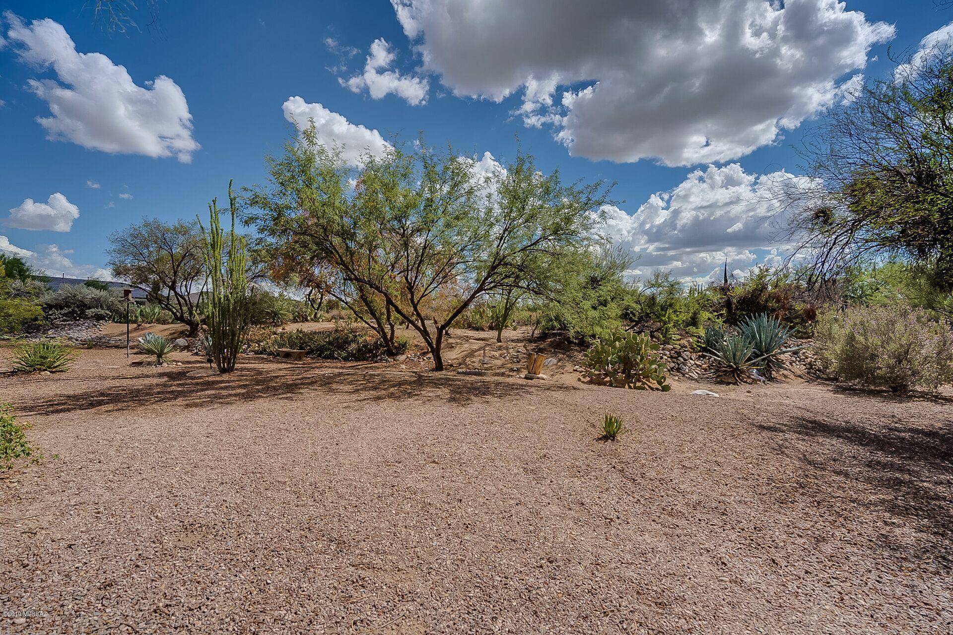 La Cholla Hills(1-313) - Residential