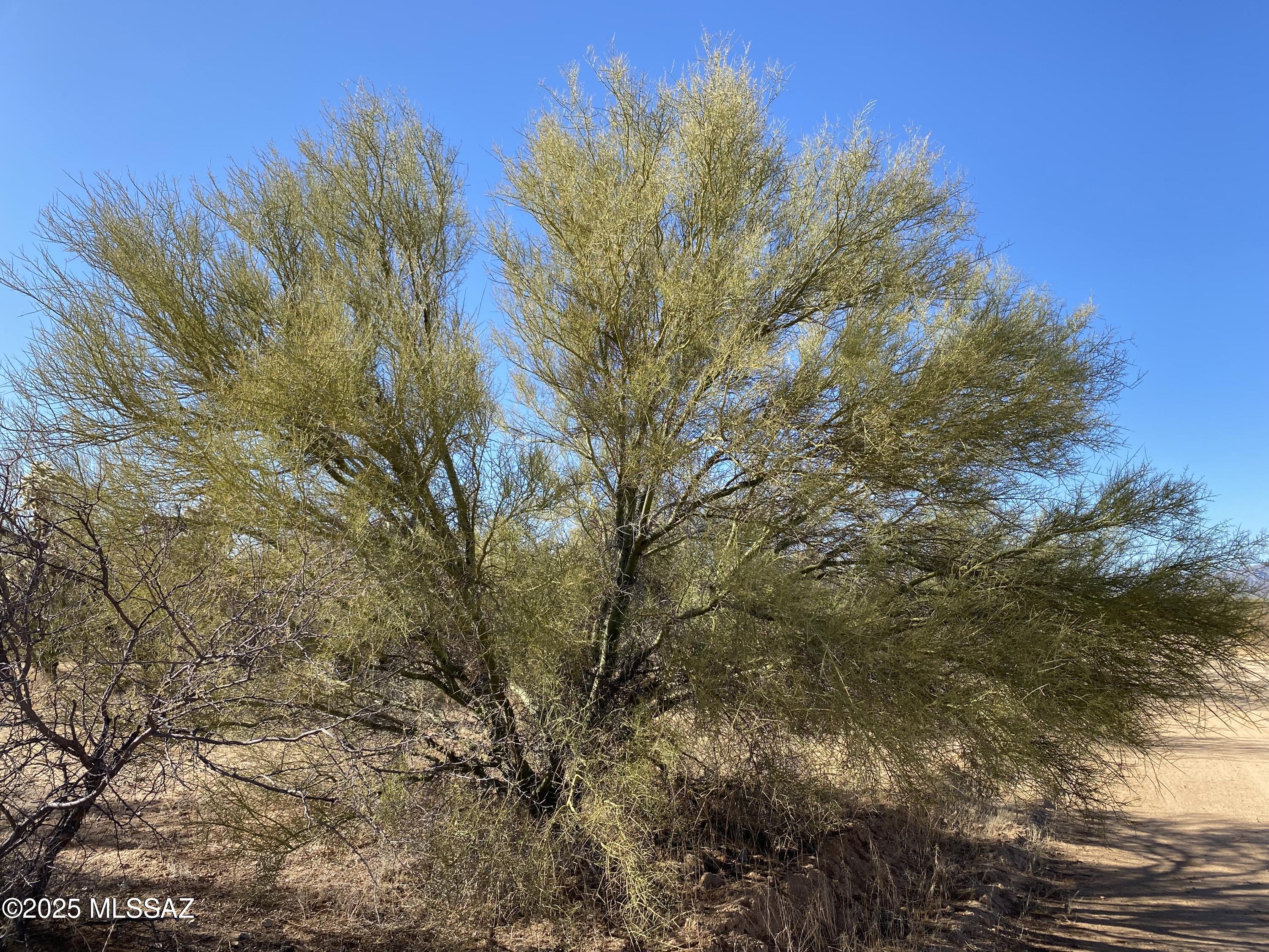 Diamond Bell Ranch - Tucson Unit 14 (1-412) - Land
