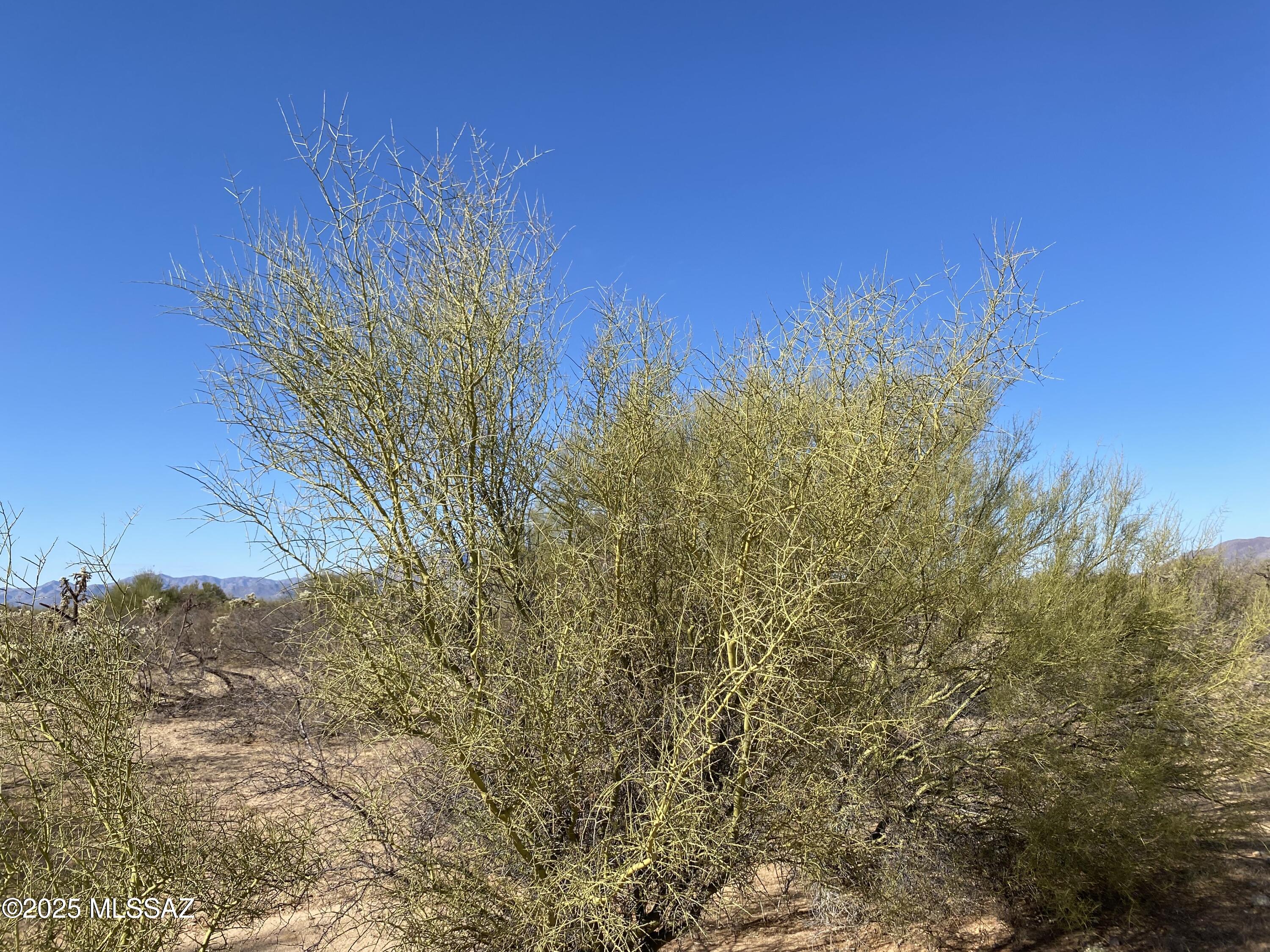 Diamond Bell Ranch - Tucson Unit 14 (1-412) - Land