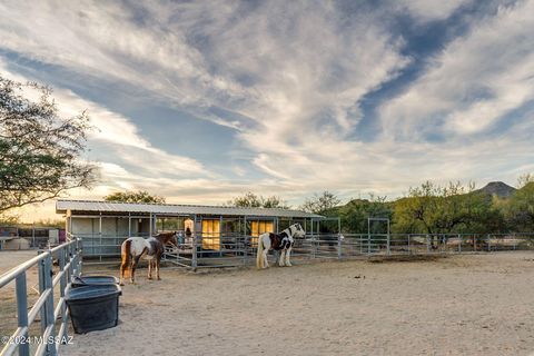 A home in Tucson