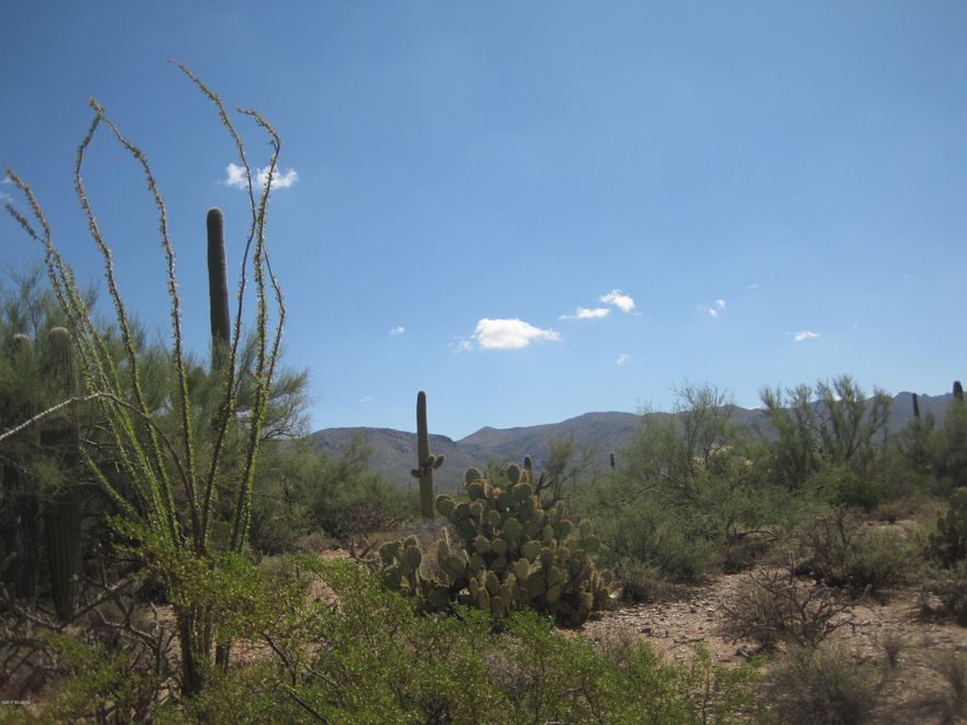 High desert with 360 degrees views-many home sites-don't miss seeing this unique property.