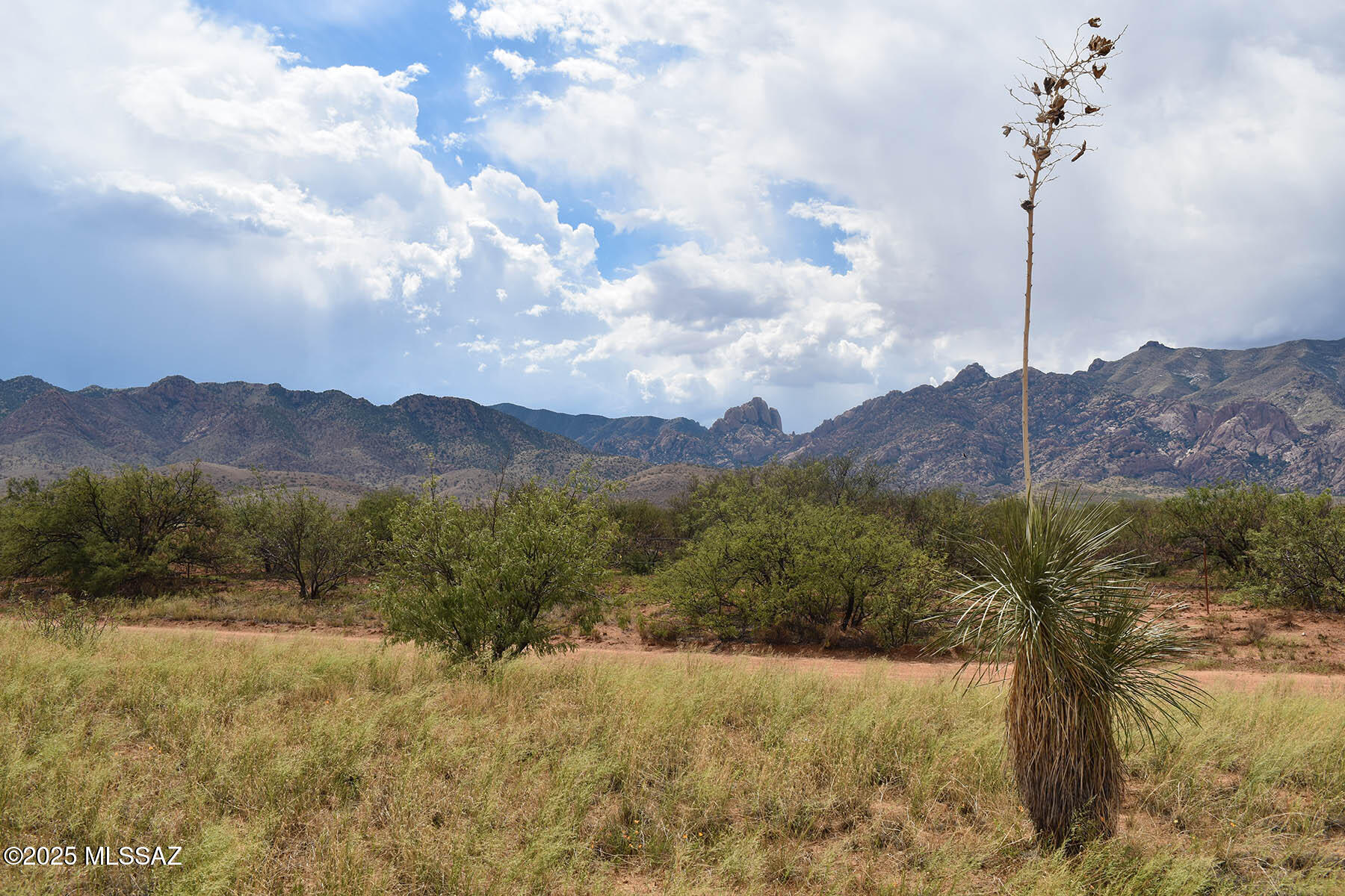 Arizona Sun Sites - Land