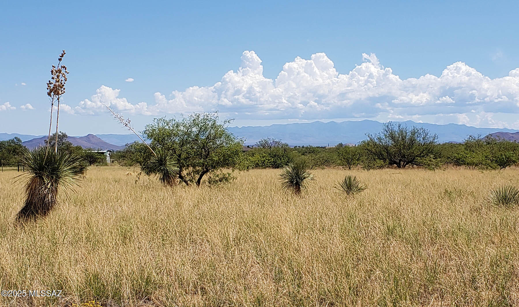 Arizona Sun Sites - Land