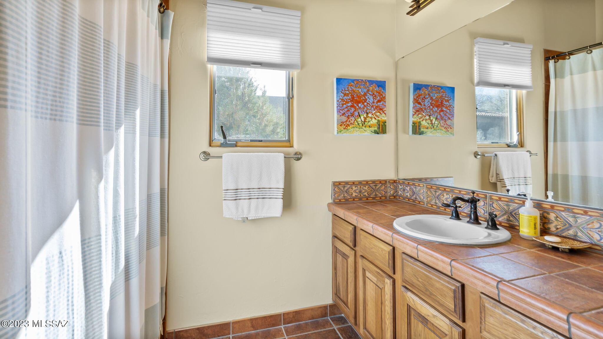 Santiago at Barrio de Tubac - Residential