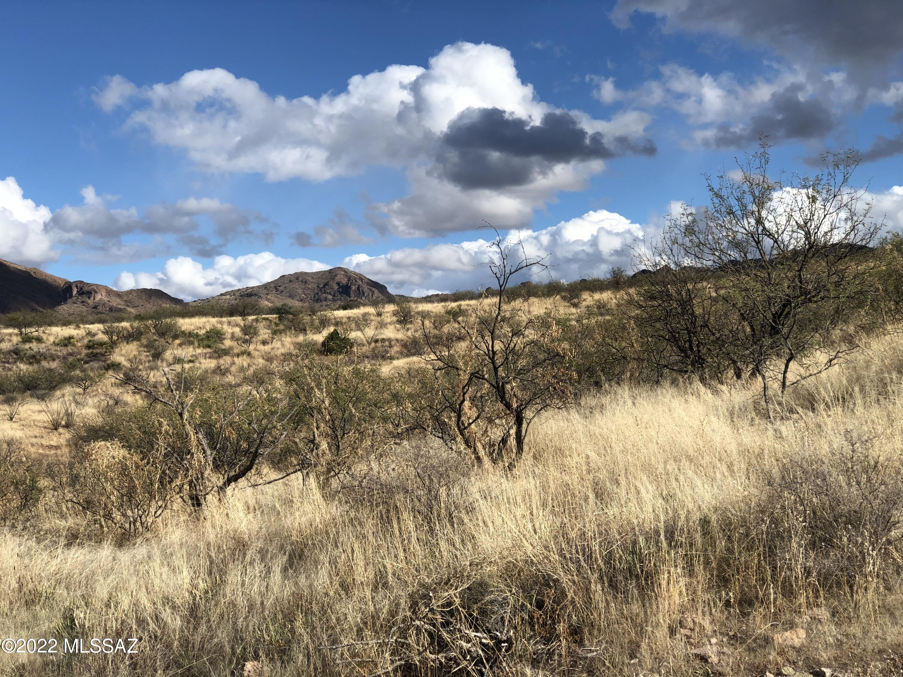 Morning Star Ranch - Land
