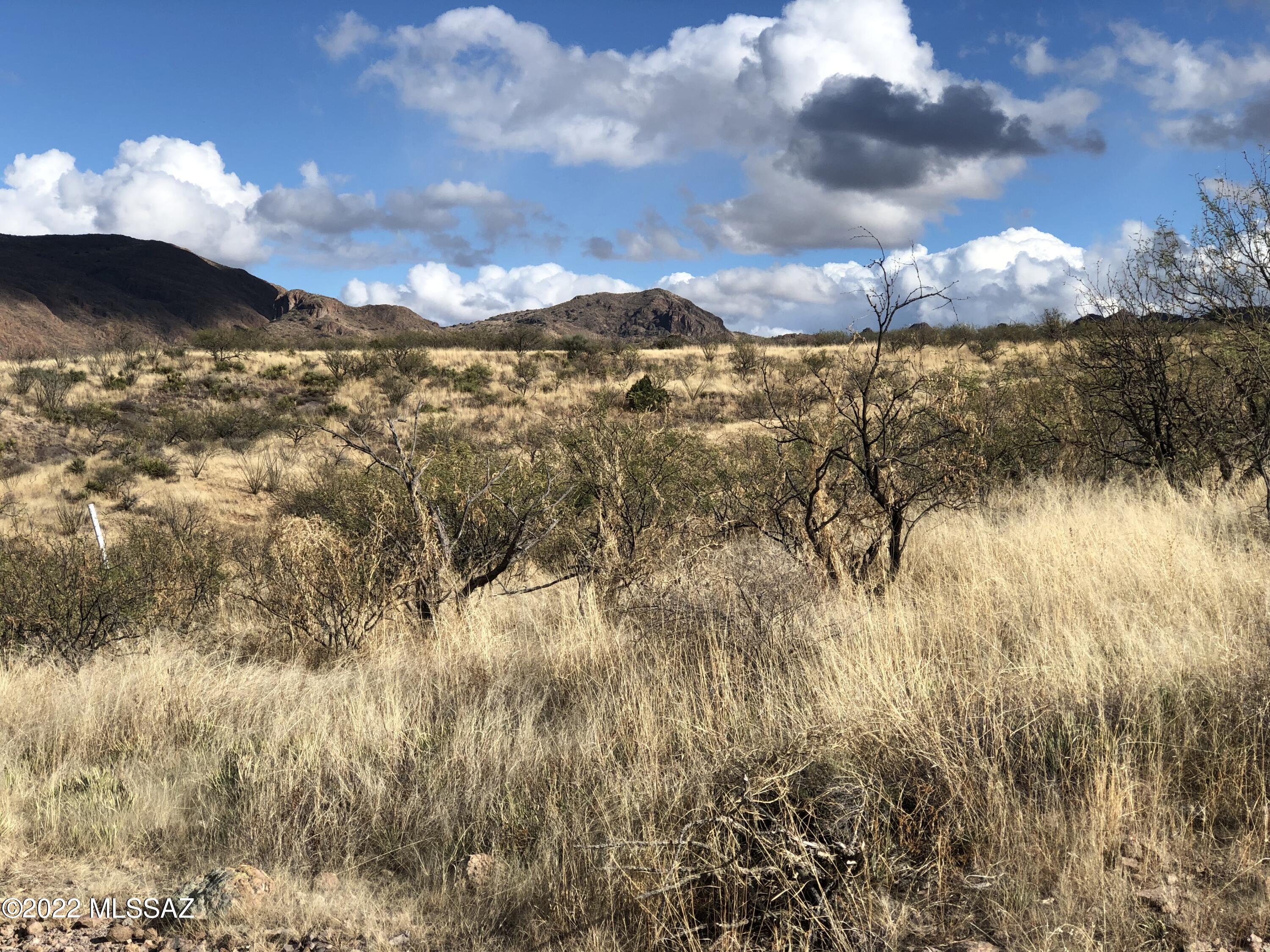 Morning Star Ranch - Land