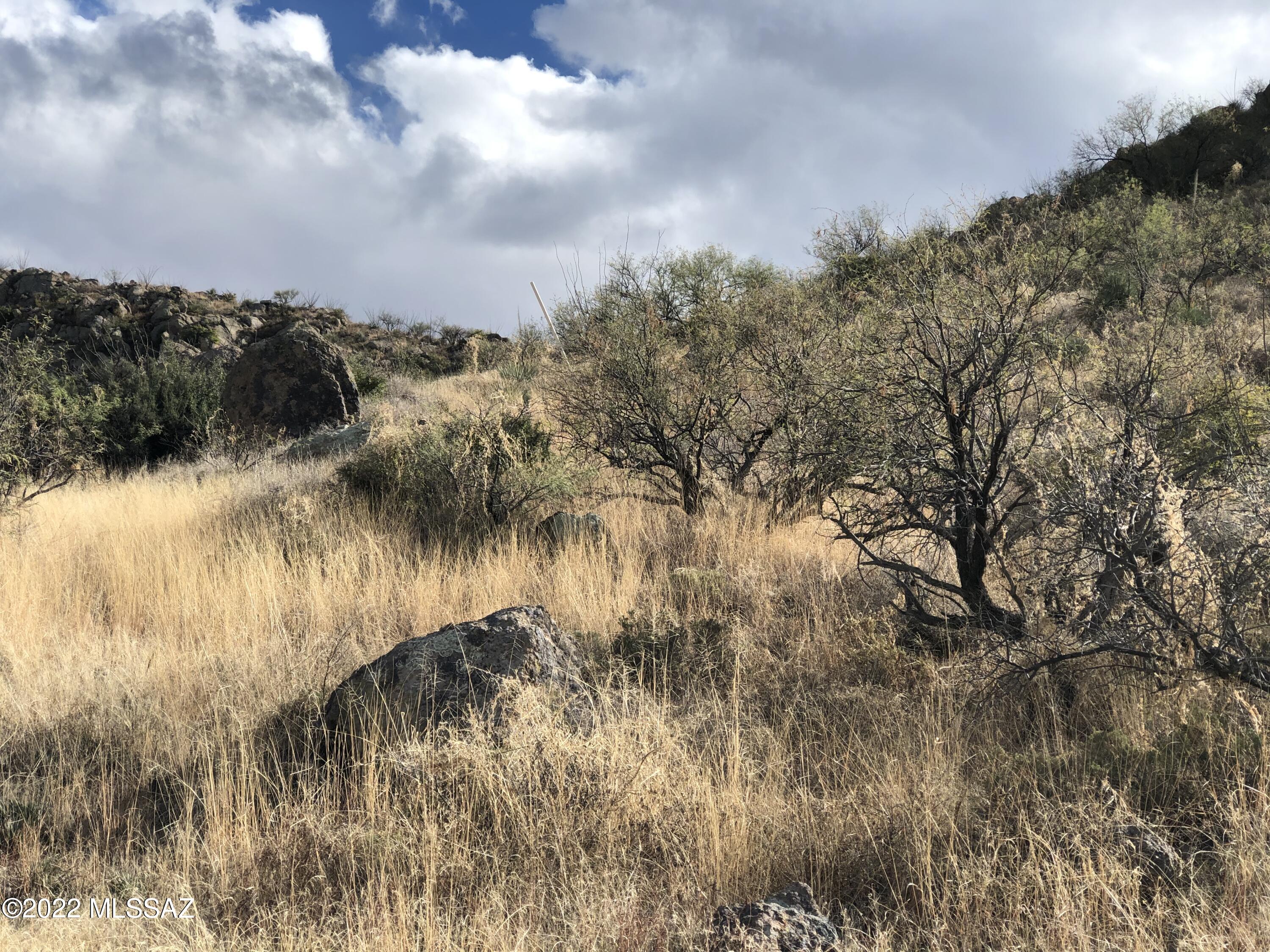 Morning Star Ranch - Land