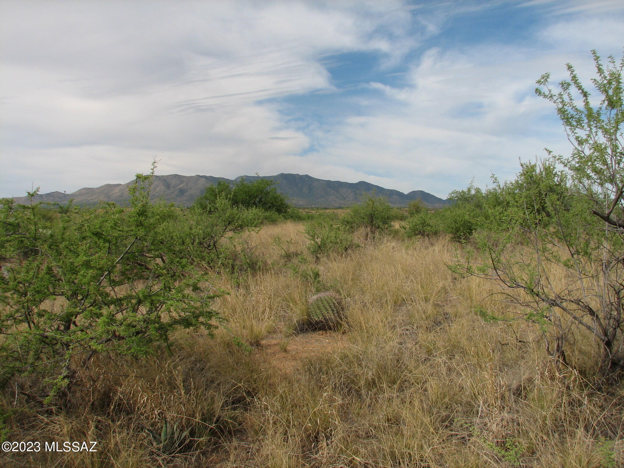 Out Of Pima County - Land