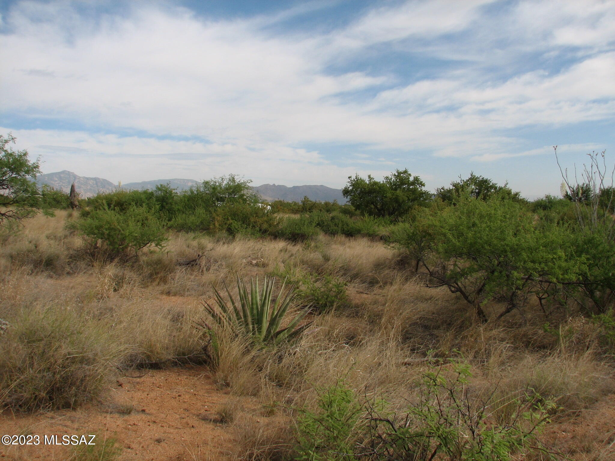 Out Of Pima County - Land