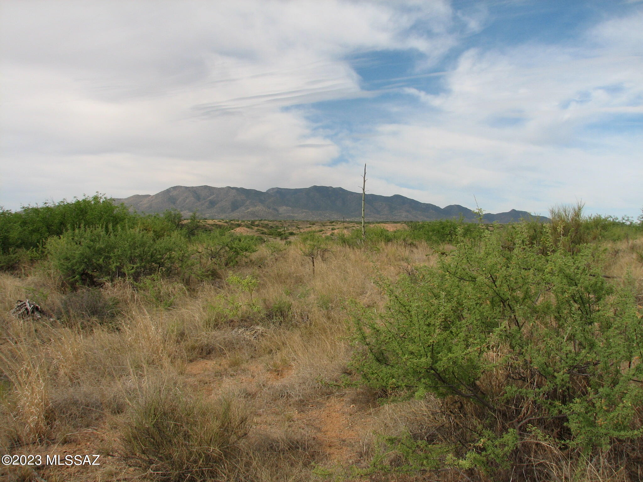 Out Of Pima County - Land