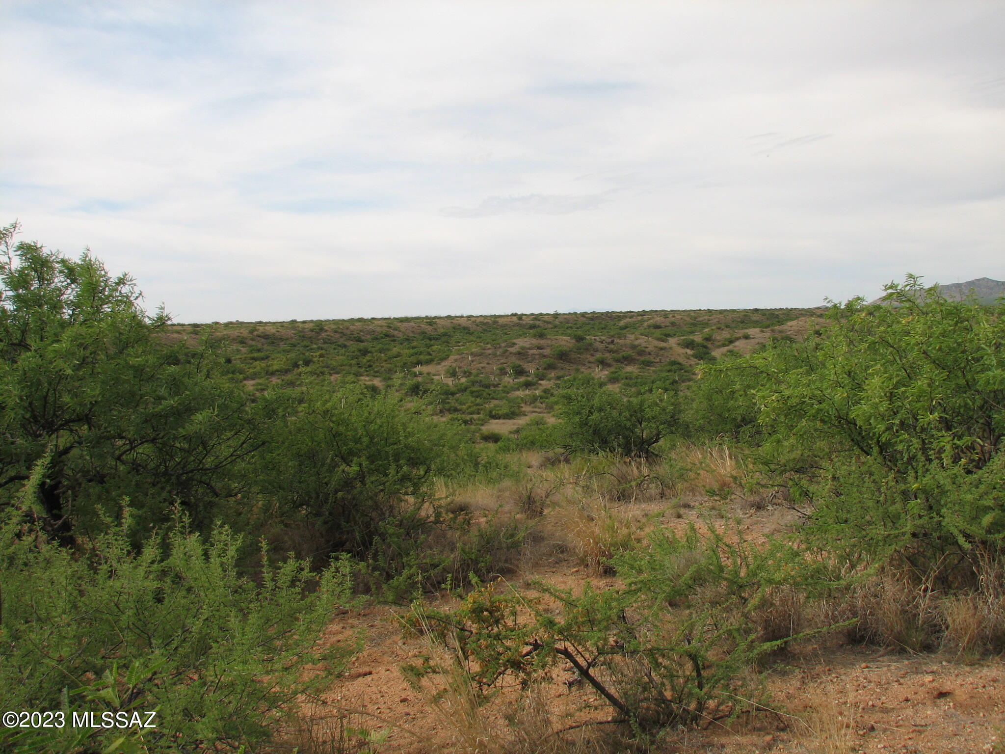 Out Of Pima County - Land