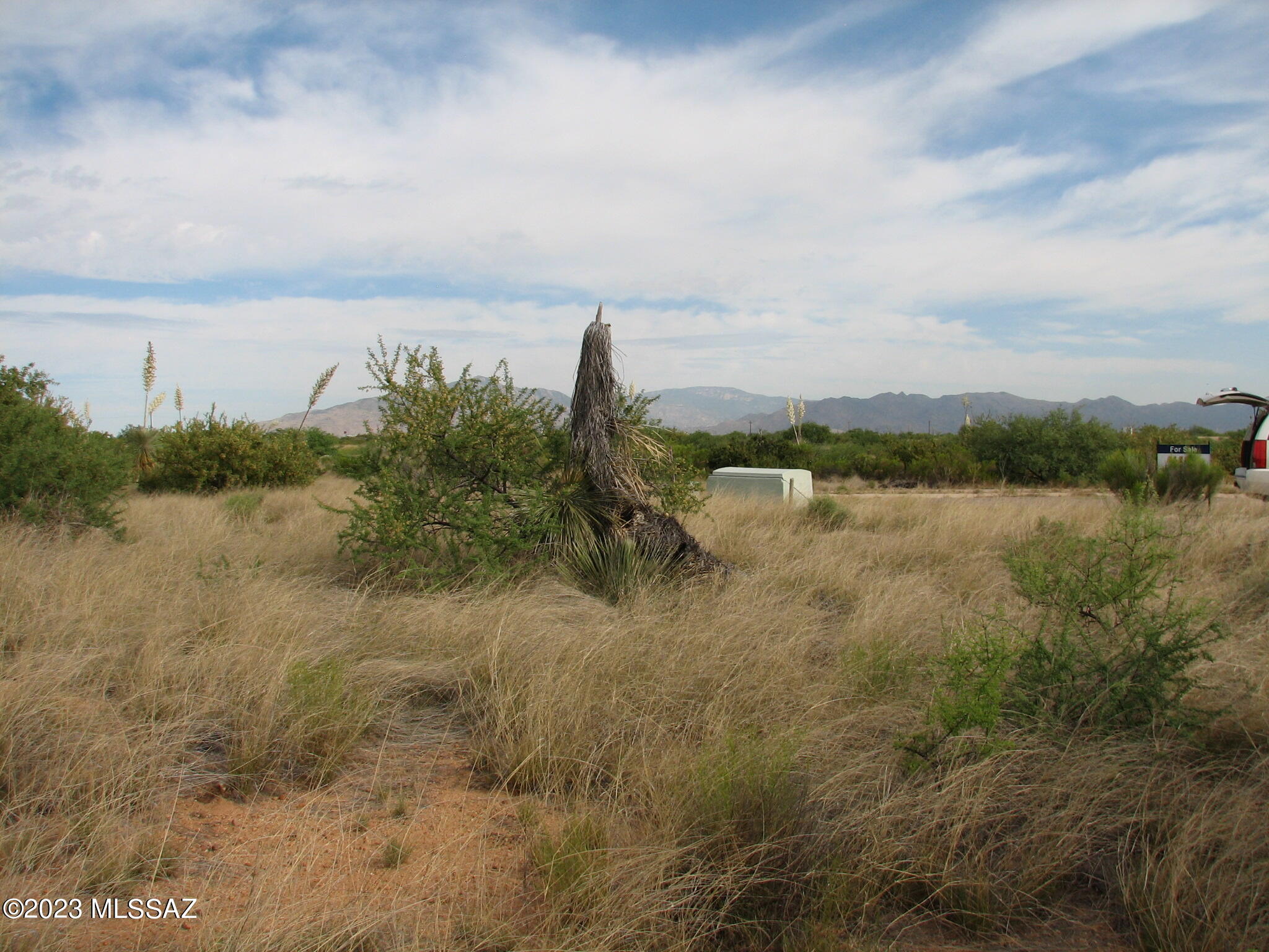 Out Of Pima County - Land