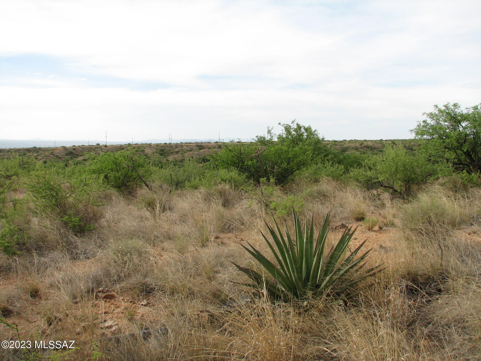 Out Of Pima County - Land