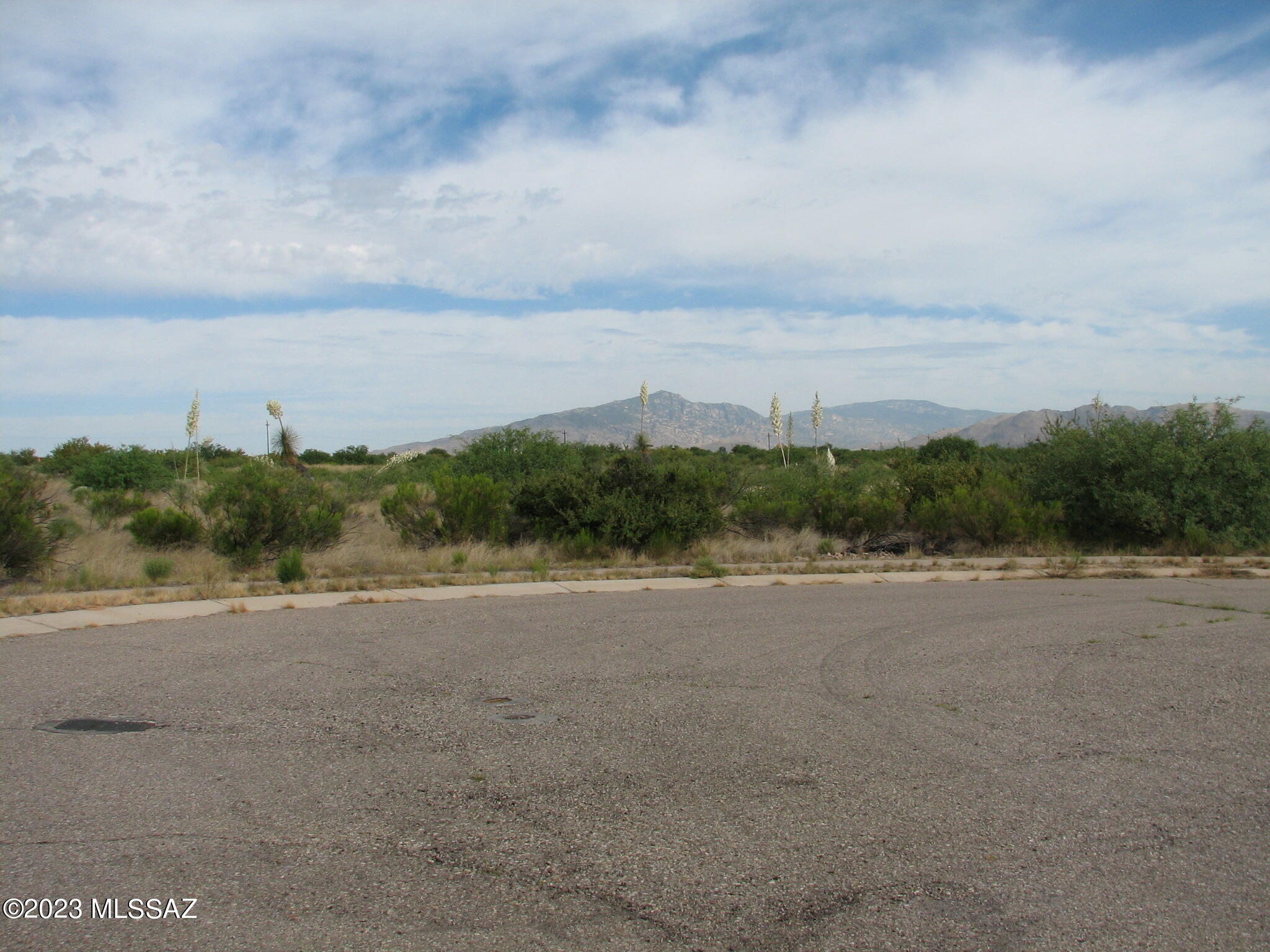 Out Of Pima County - Land