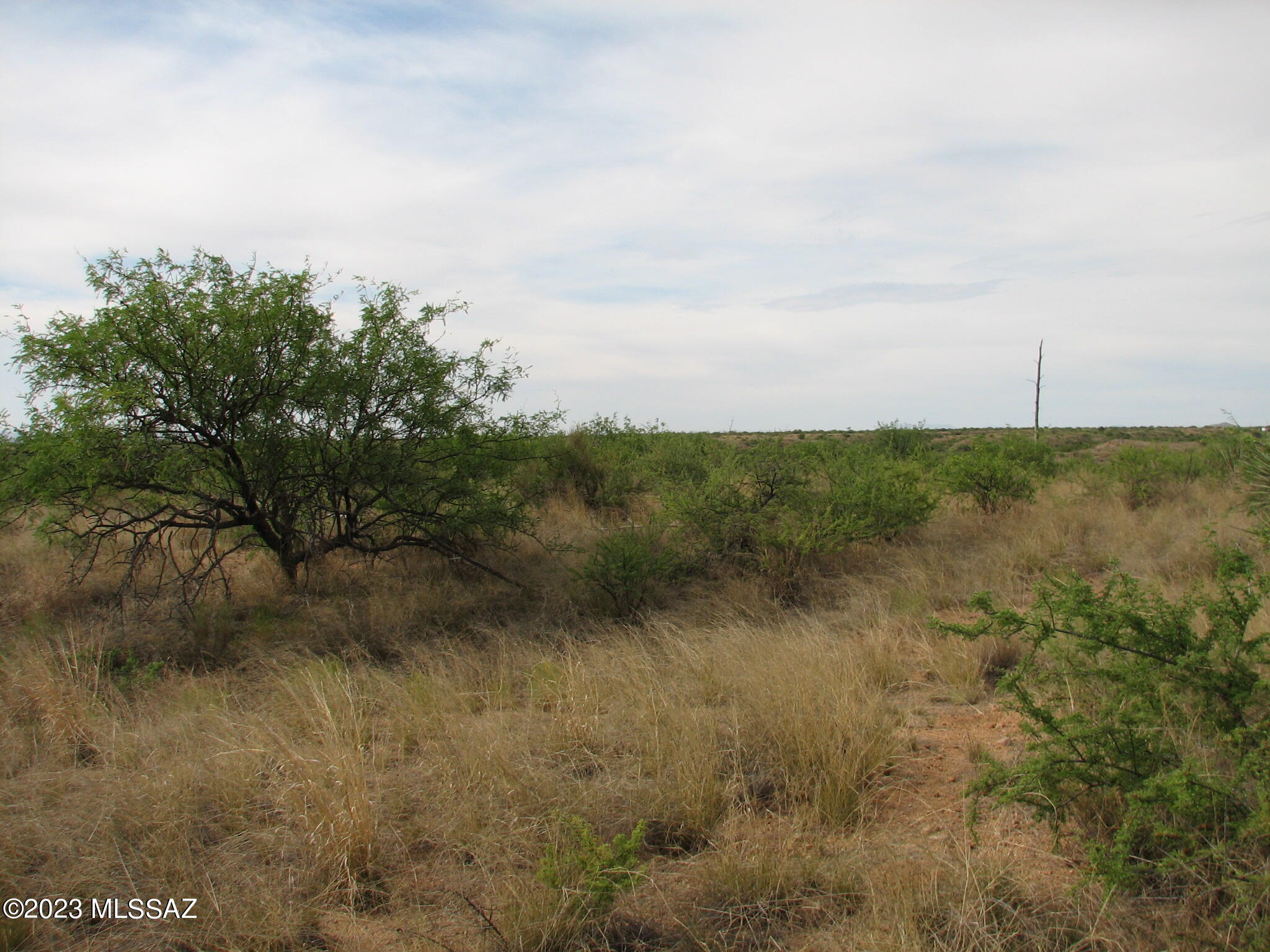Out Of Pima County - Land