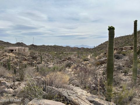3517 Old Saguaro Ranch Road W 38 Tucson AZ 85755