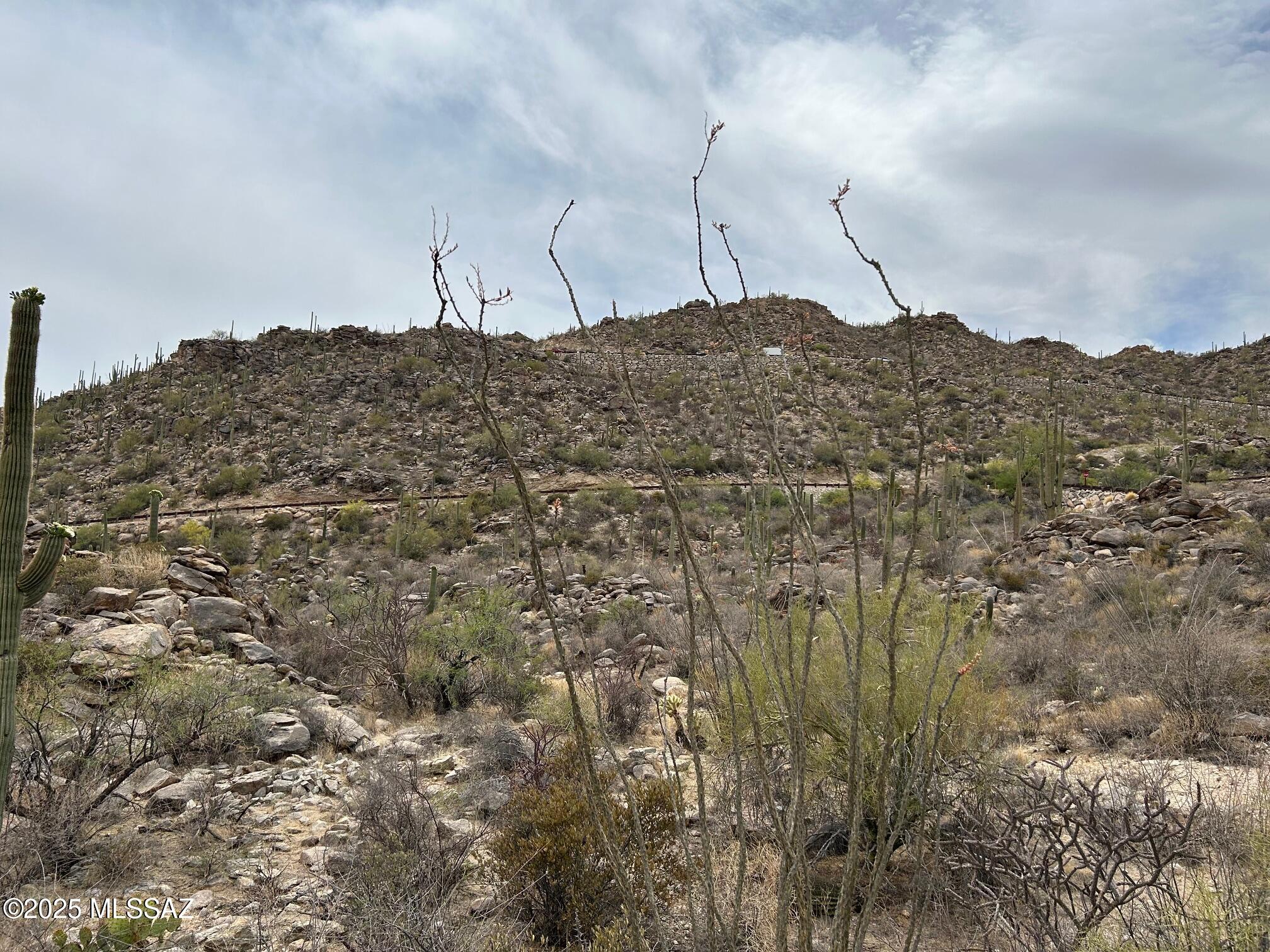 3517 Old Saguaro Ranch Road W 38