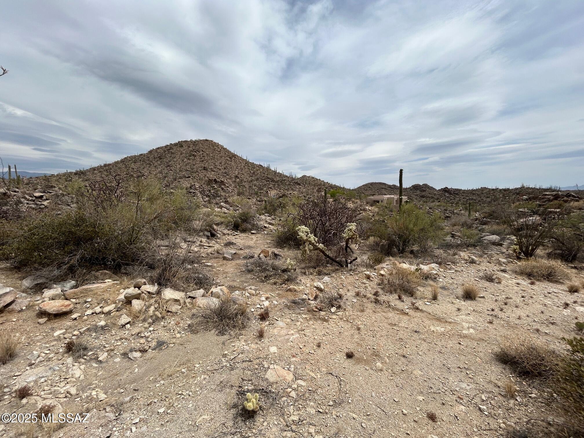 3517 Old Saguaro Ranch Road W 38