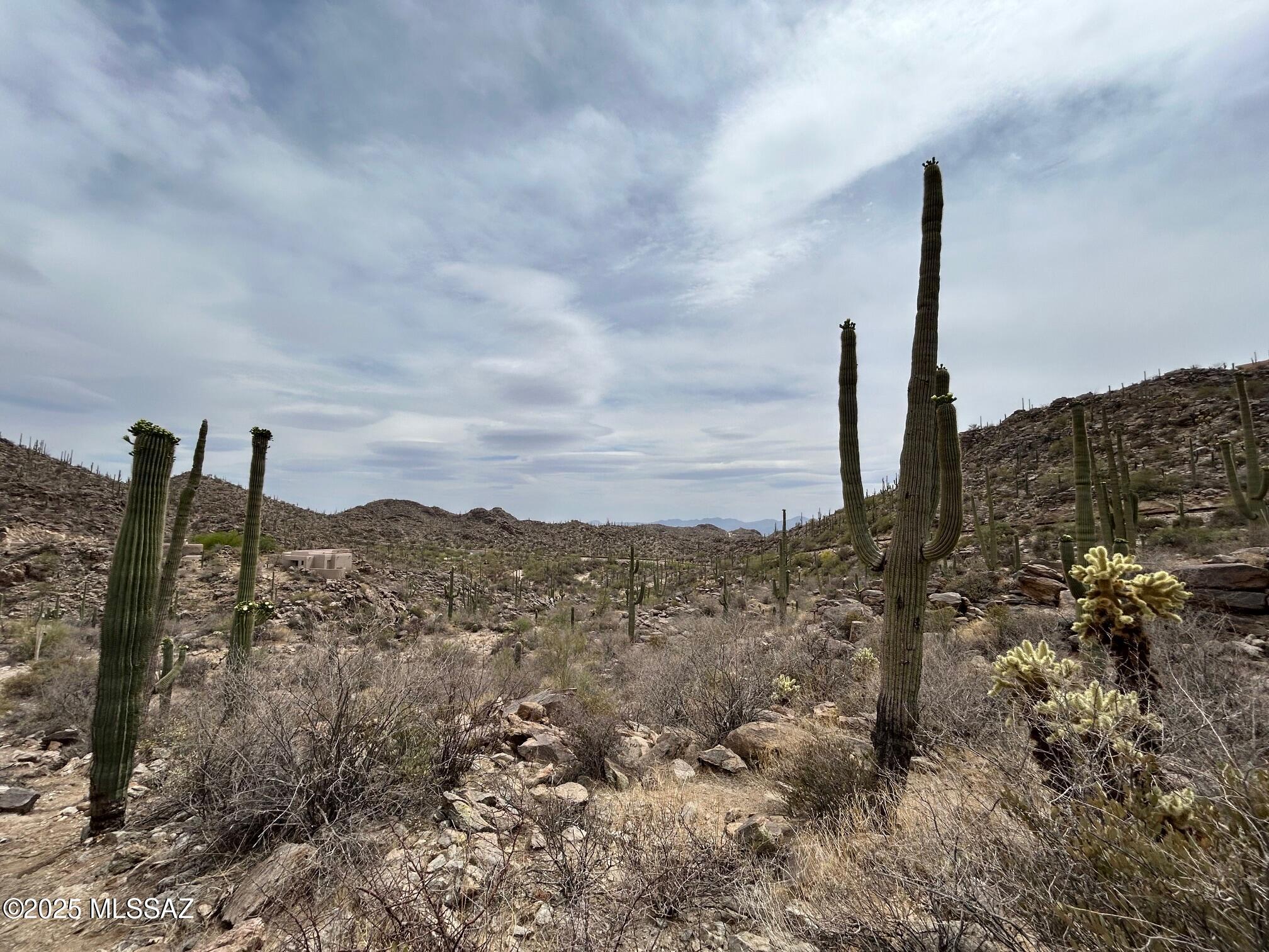 3517 Old Saguaro Ranch Road W 38