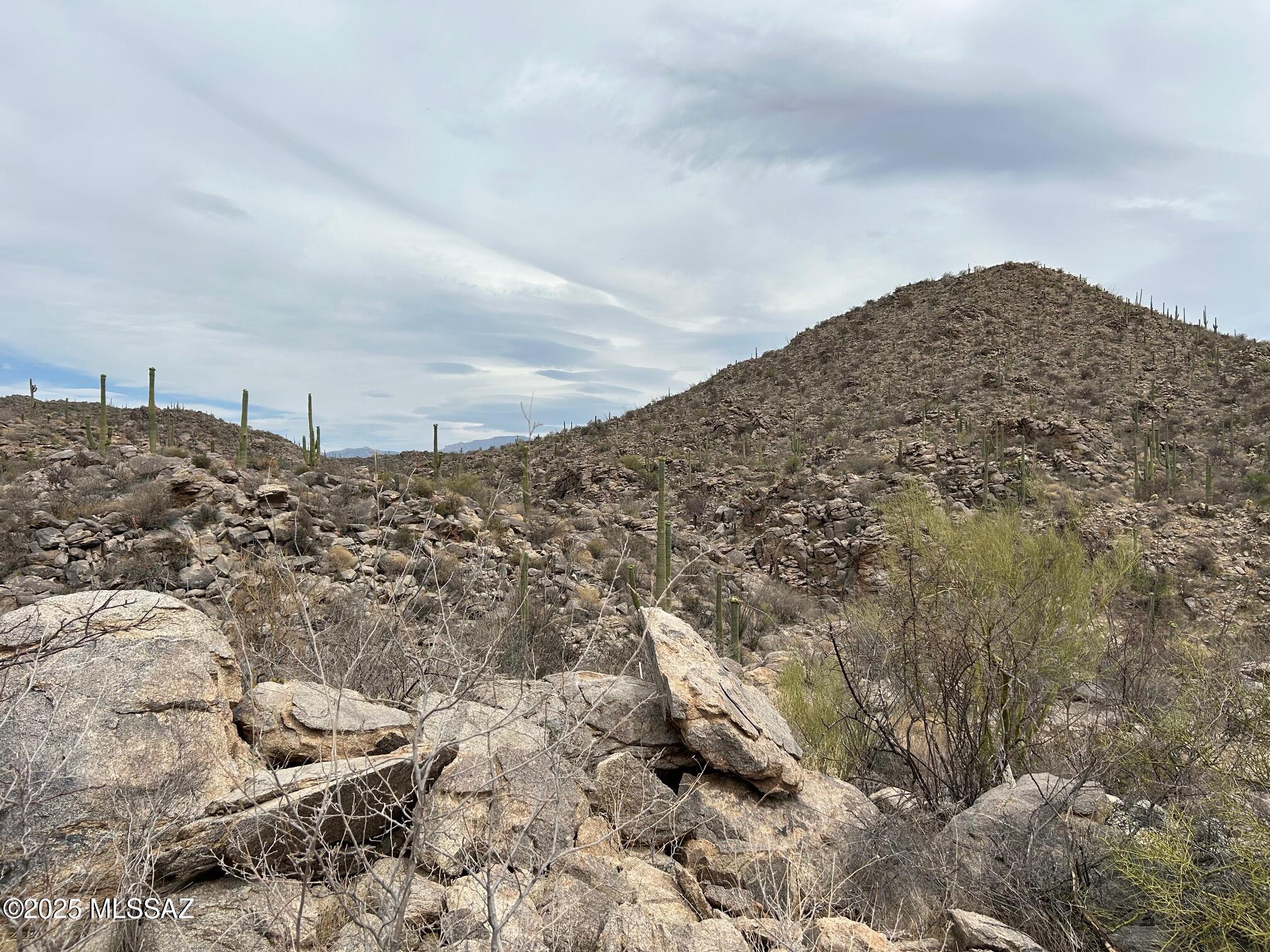 3517 Old Saguaro Ranch Road W 38